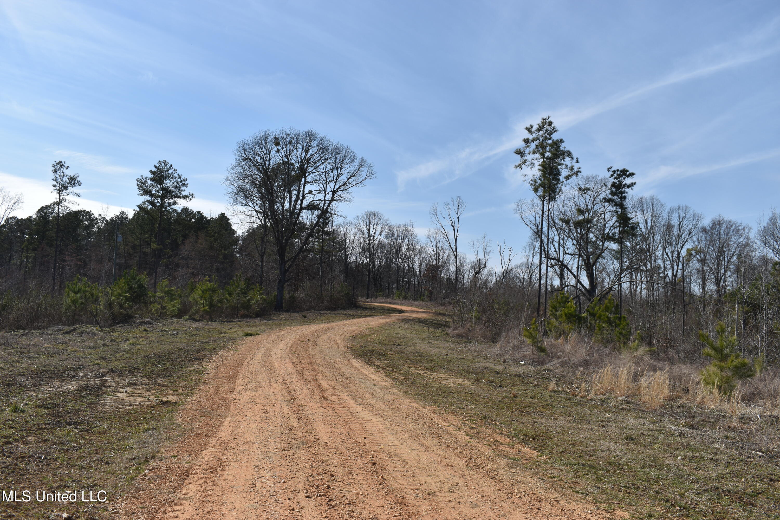 160 Simon Chapel Road Como, MS 38619 - Photo 5 of 94 DSC_0165