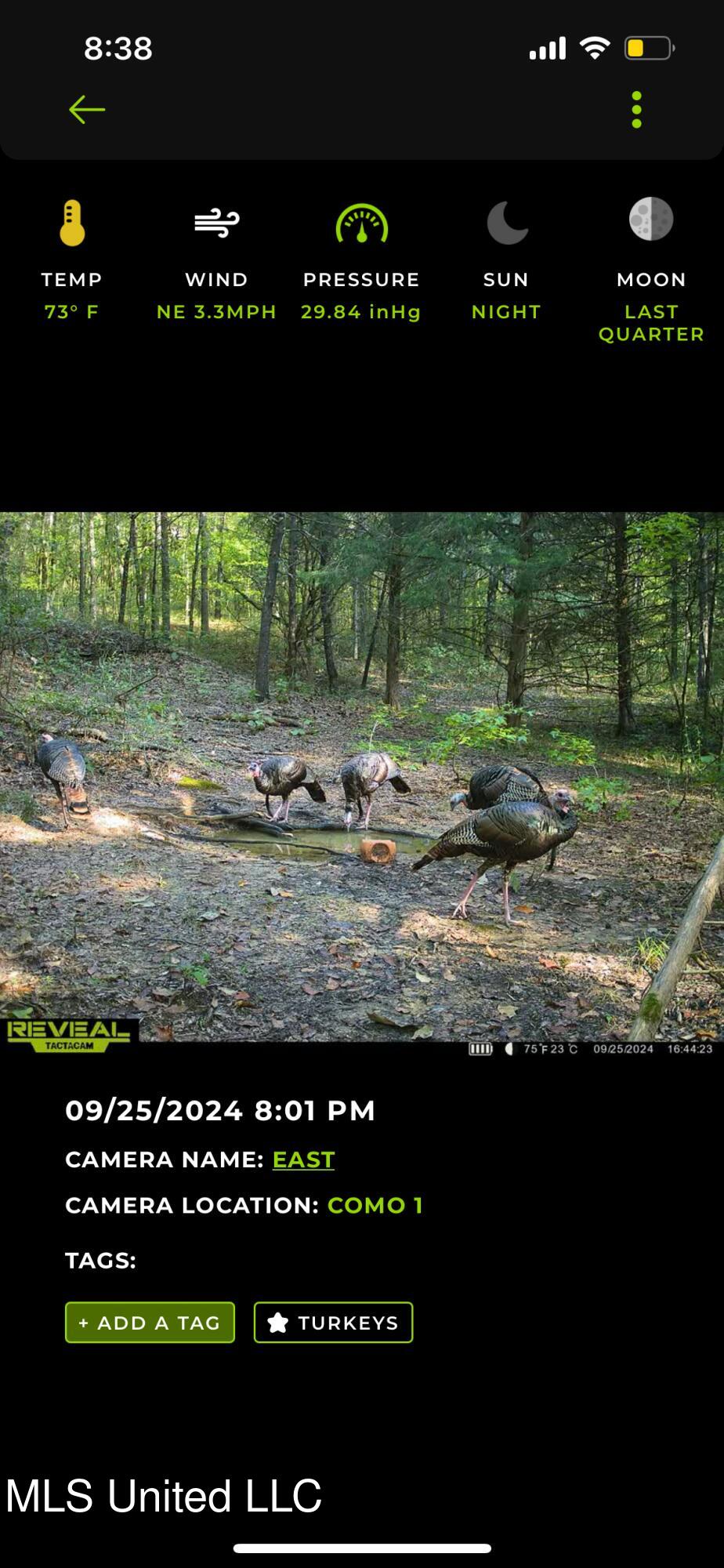 160 Simon Chapel Road Como, MS 38619 - Photo 53 of 94 Como Turkey 1