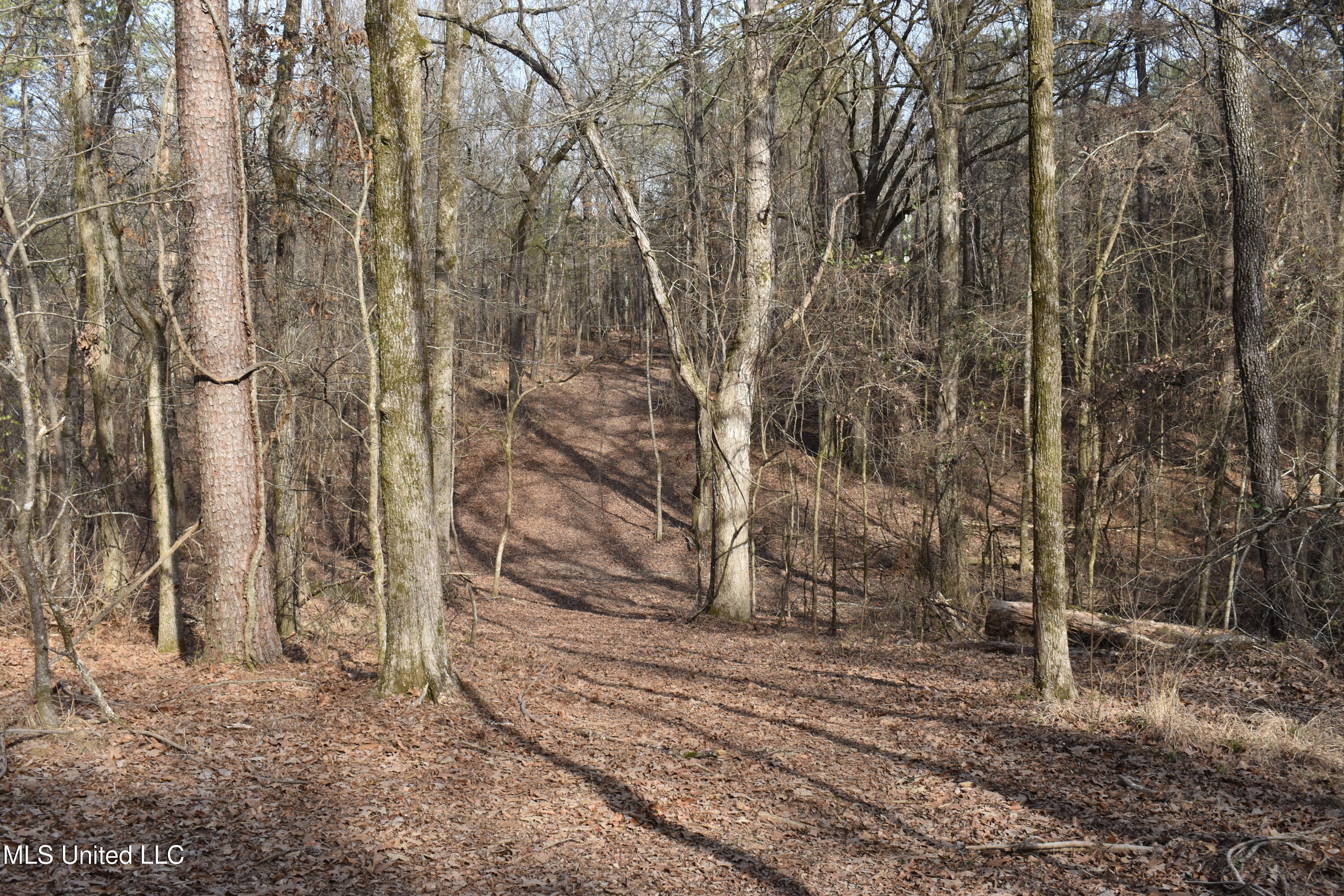 160 Simon Chapel Road Como, MS 38619 - Photo 54 of 94 DSC_0201