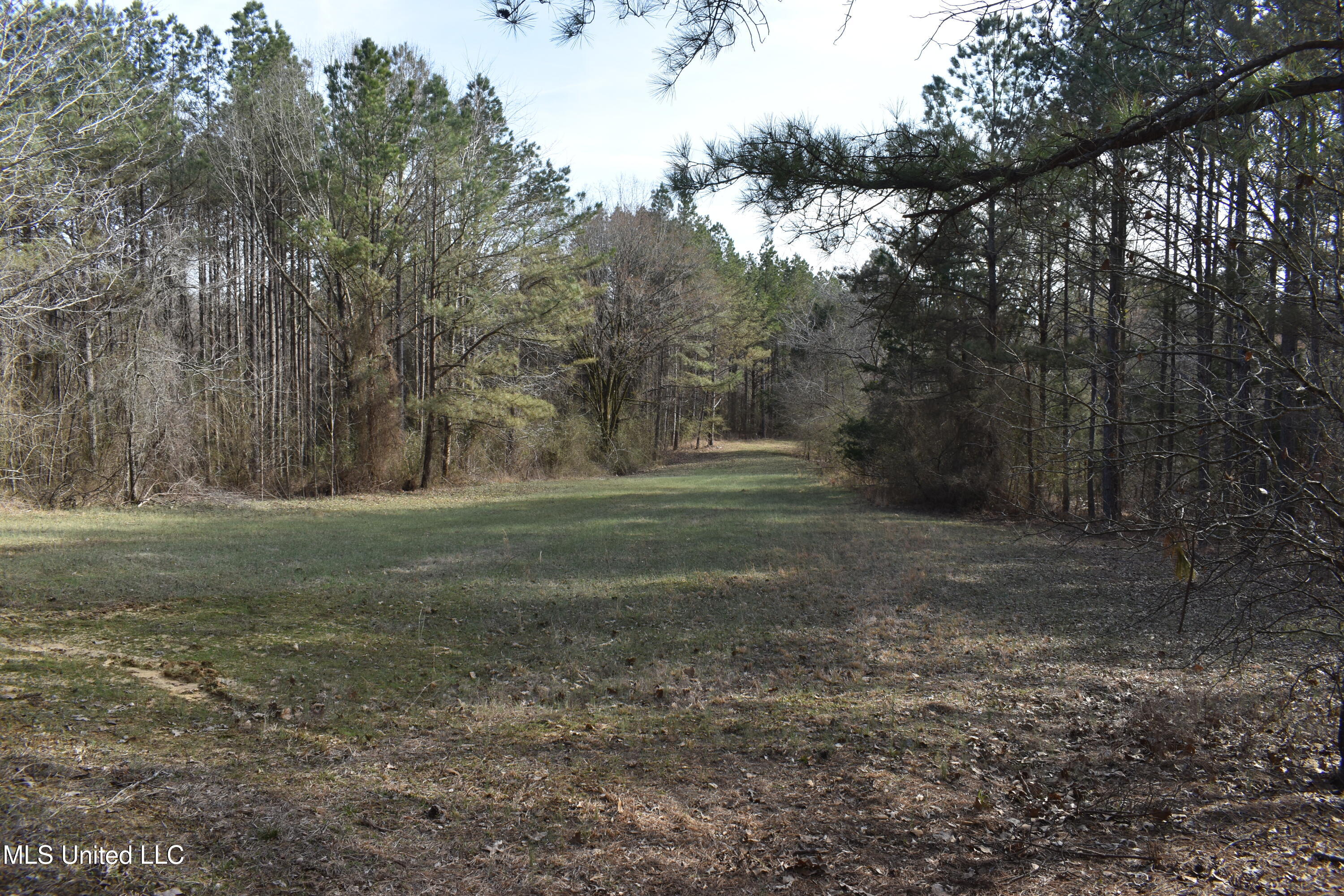 160 Simon Chapel Road Como, MS 38619 - Photo 55 of 94 DSC_0197