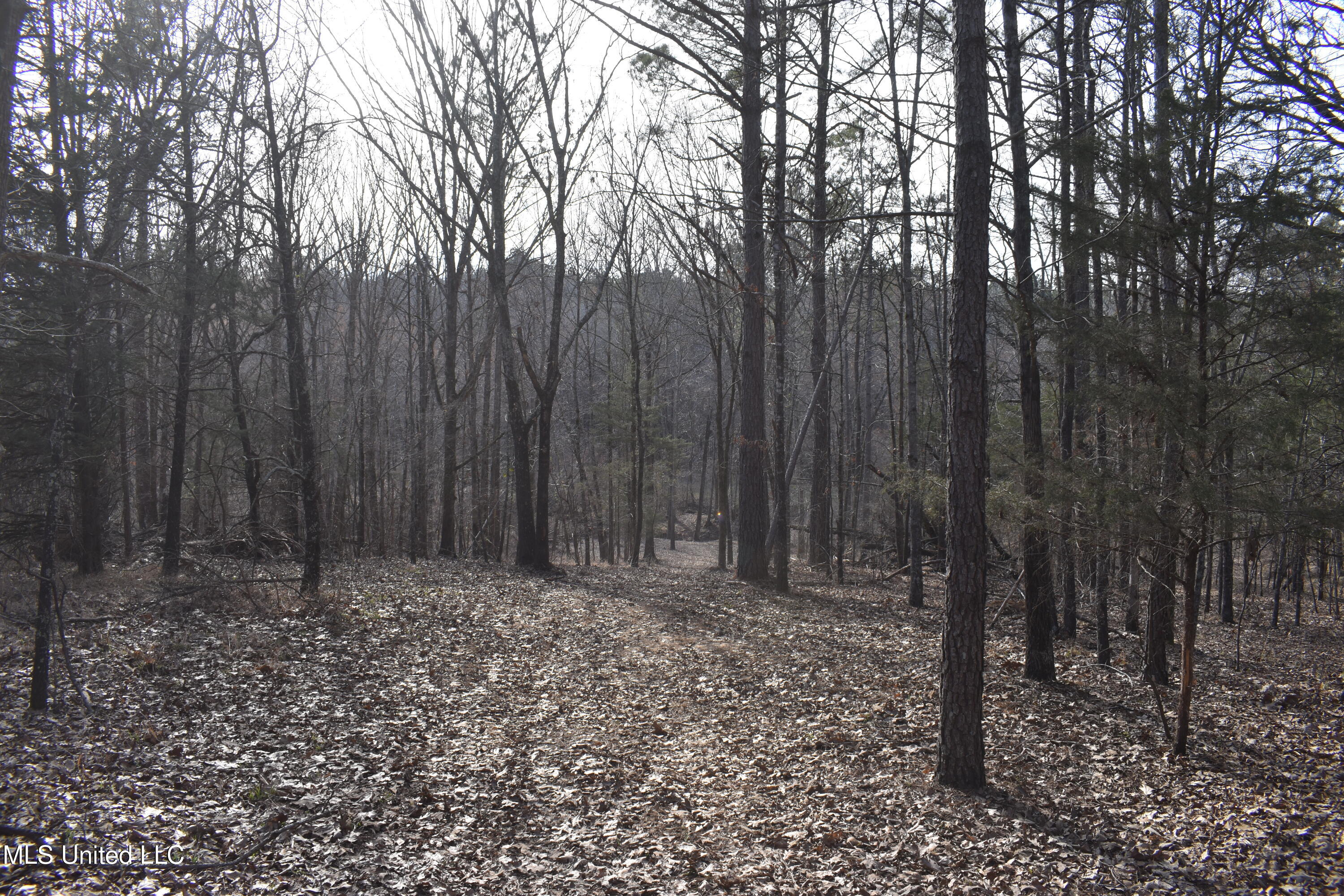 160 Simon Chapel Road Como, MS 38619 - Photo 59 of 94 DSC_0191