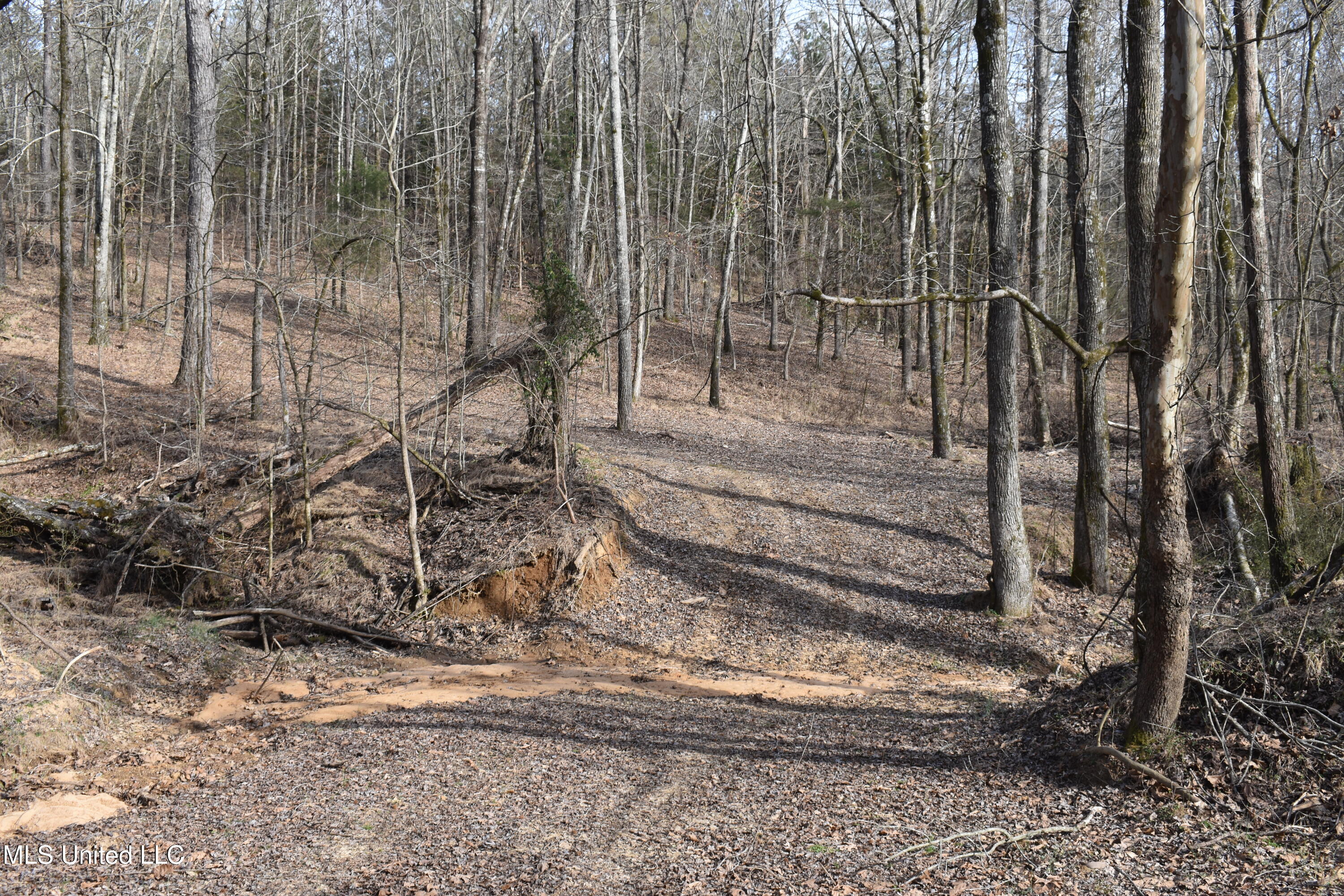 160 Simon Chapel Road Como, MS 38619 - Photo 60 of 94 DSC_0190