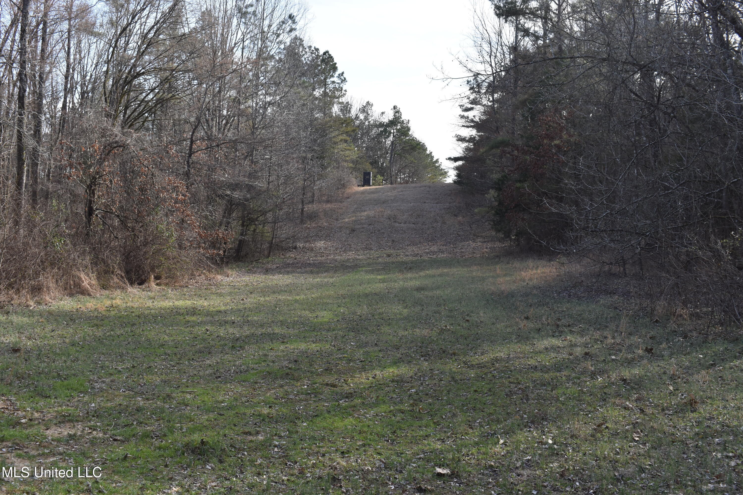 160 Simon Chapel Road Como, MS 38619 - Photo 61 of 94 DSC_0189