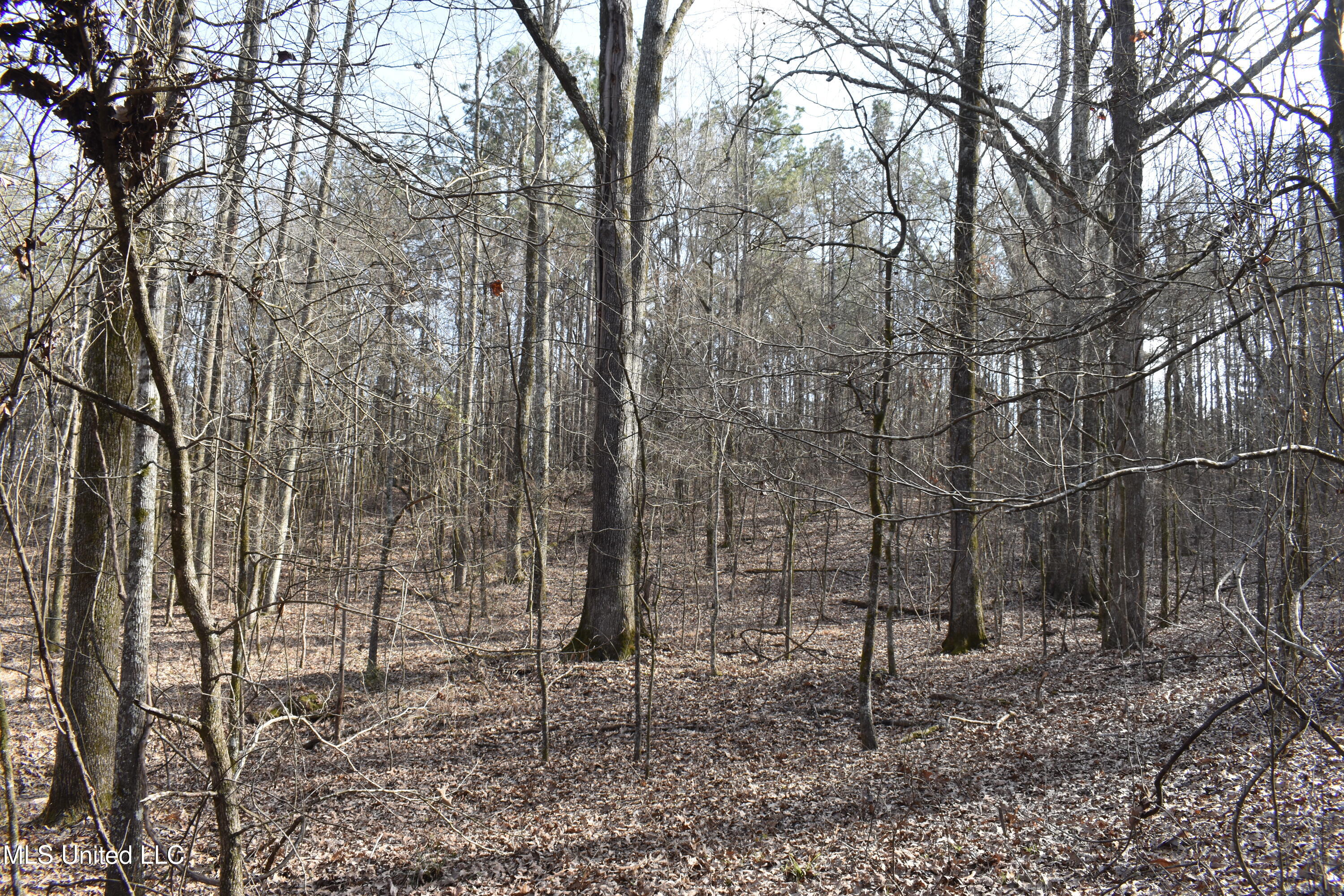 160 Simon Chapel Road Como, MS 38619 - Photo 63 of 94 DSC_0185