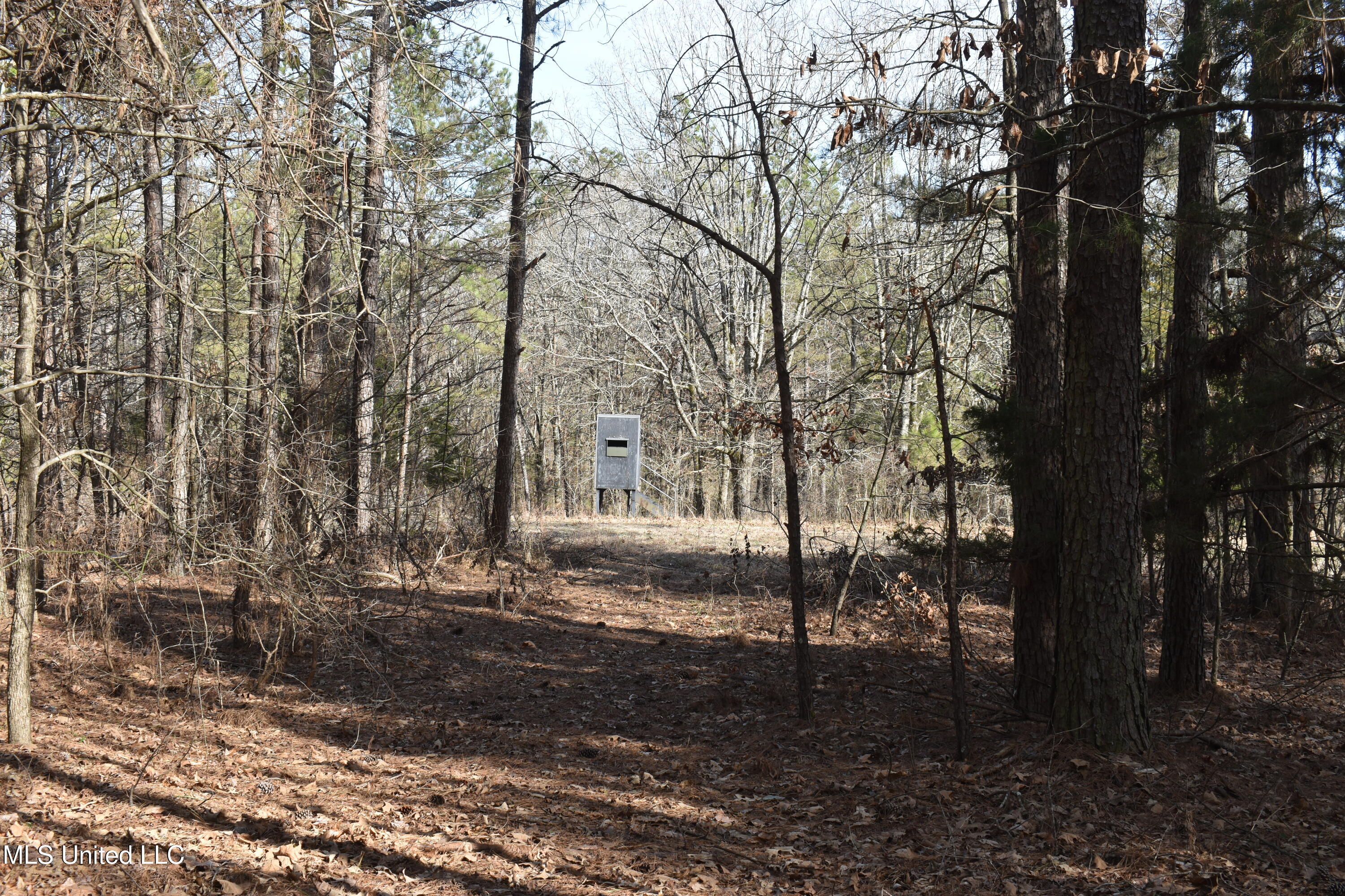 160 Simon Chapel Road Como, MS 38619 - Photo 64 of 94 DSC_0179