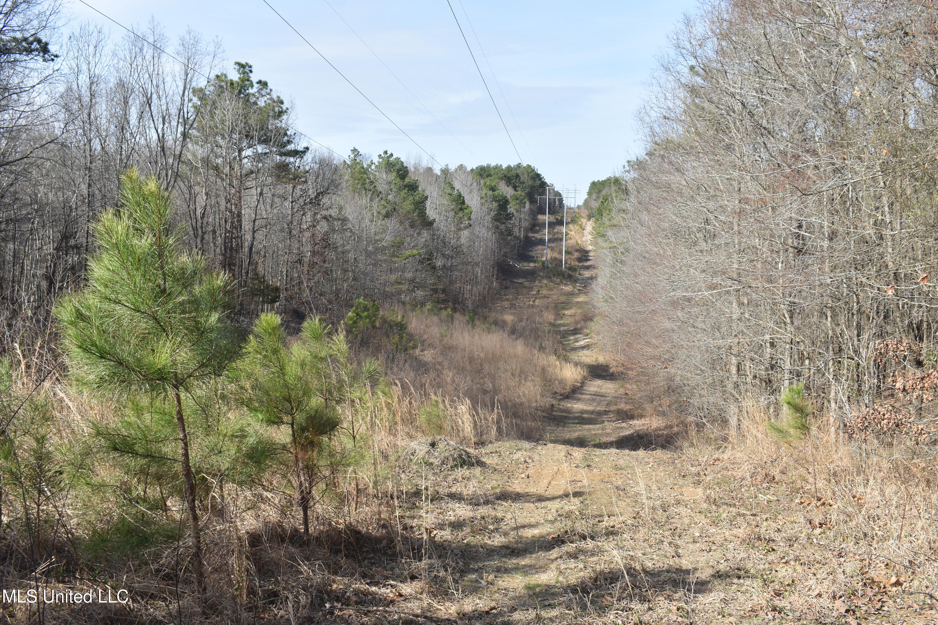160 Simon Chapel Road Como, MS 38619 - Photo 66 of 94 DSC_0173