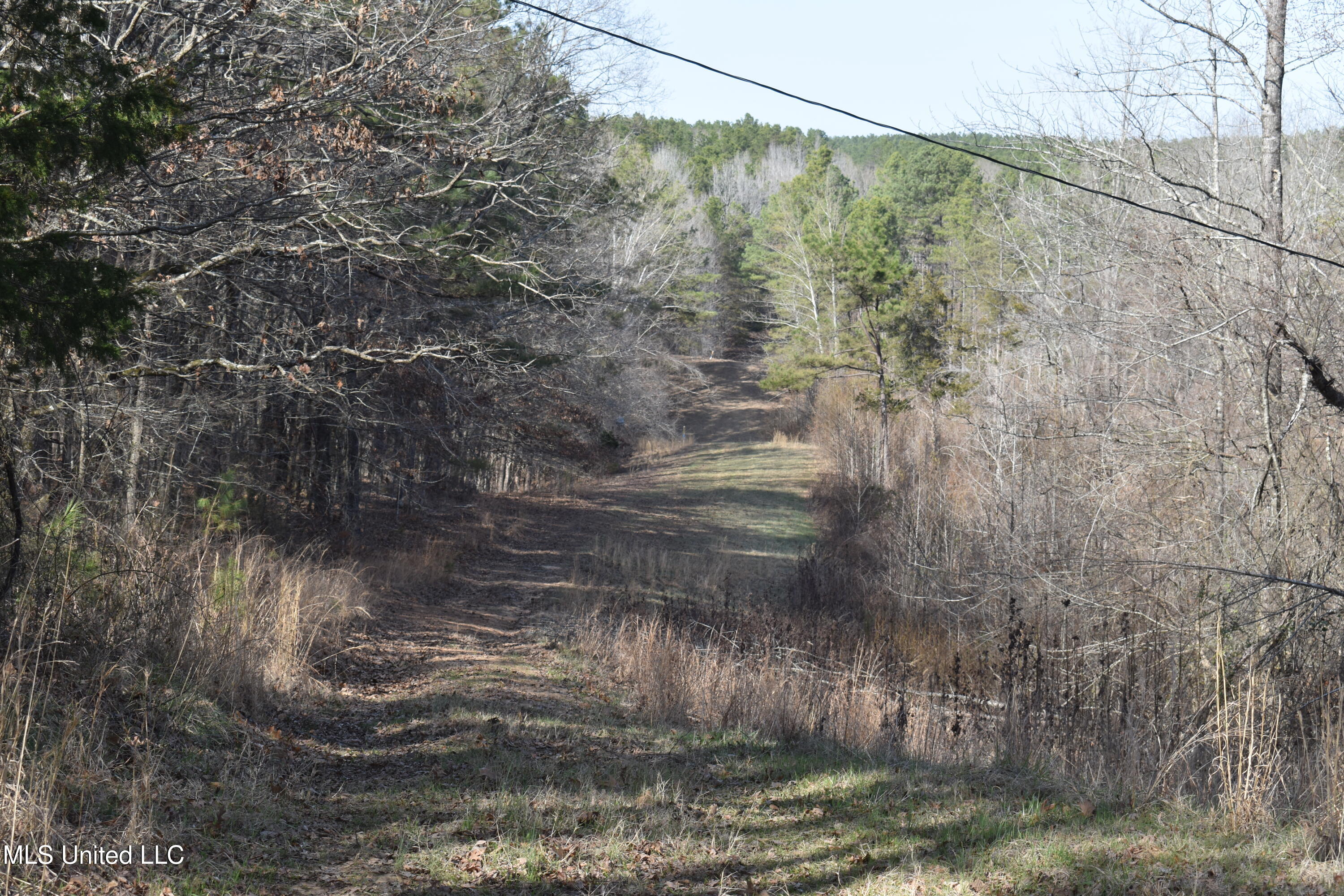 160 Simon Chapel Road Como, MS 38619 - Photo 67 of 94 DSC_0172