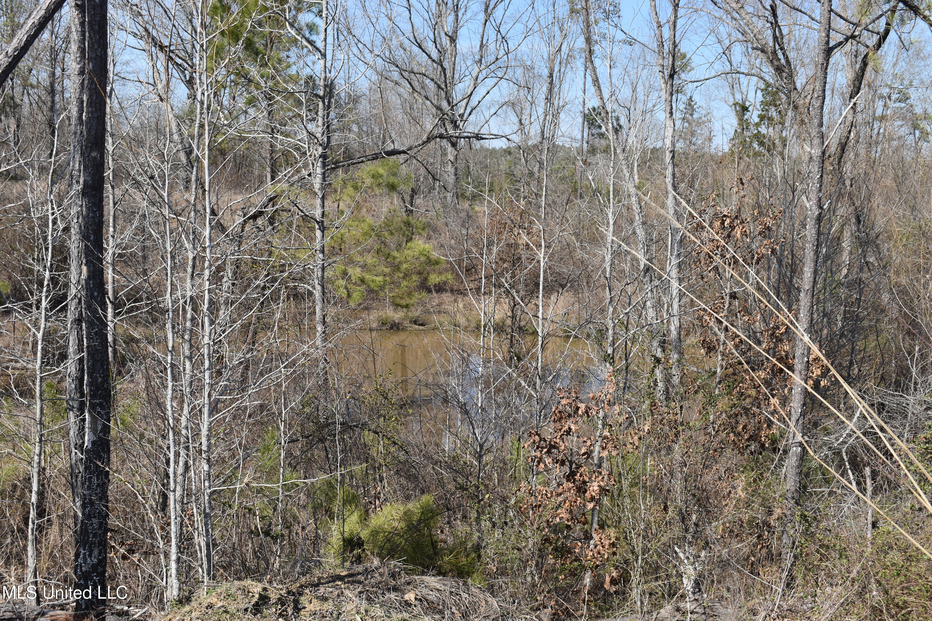 160 Simon Chapel Road Como, MS 38619 - Photo 68 of 94 DSC_0166