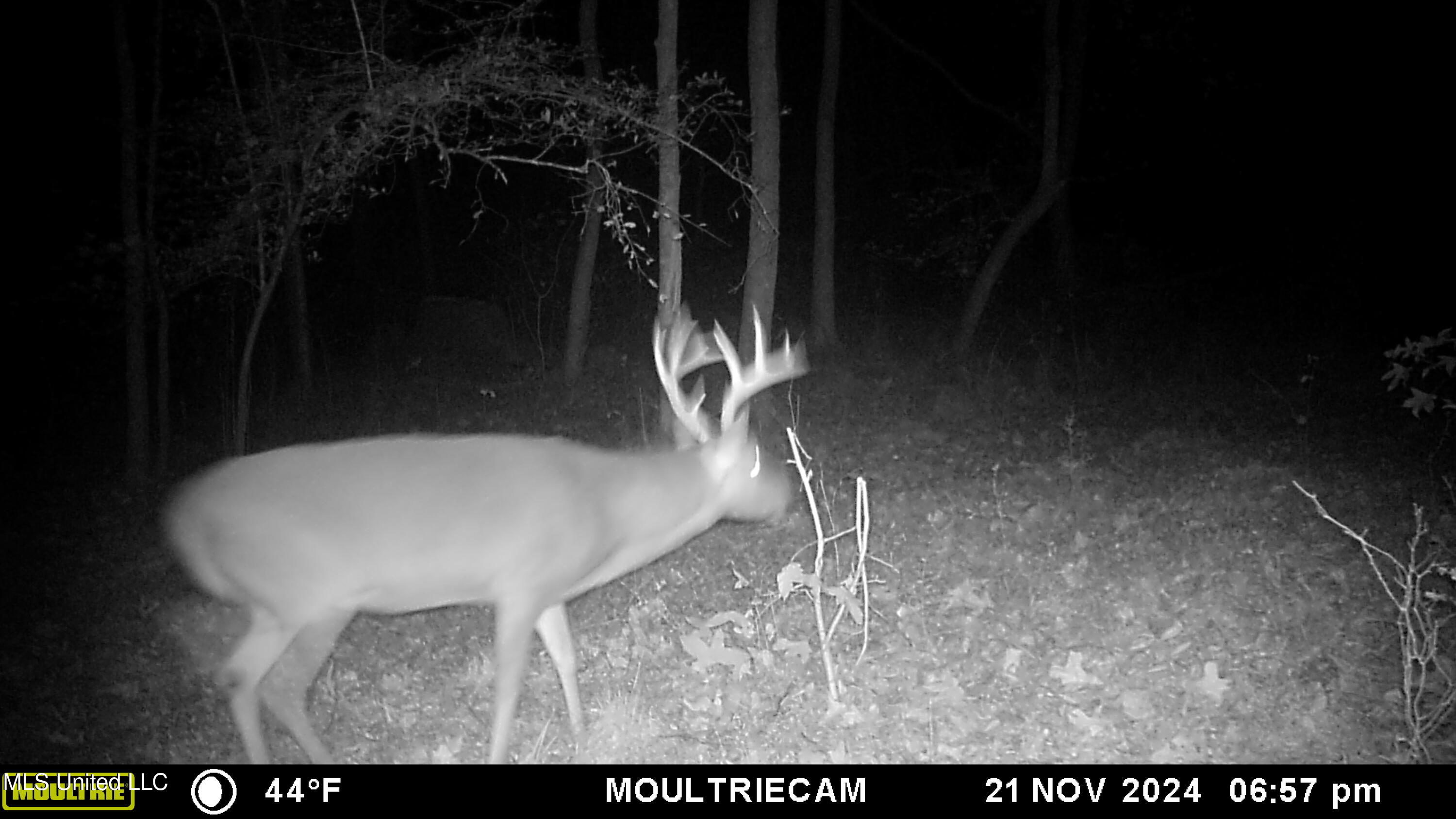 160 Simon Chapel Road Como, MS 38619 - Photo 69 of 94 MFDC7356