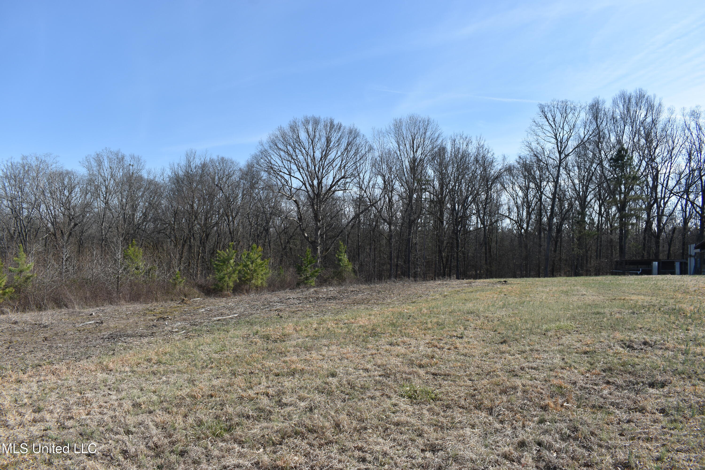 160 Simon Chapel Road Como, MS 38619 - Photo 70 of 94 DSC_0163