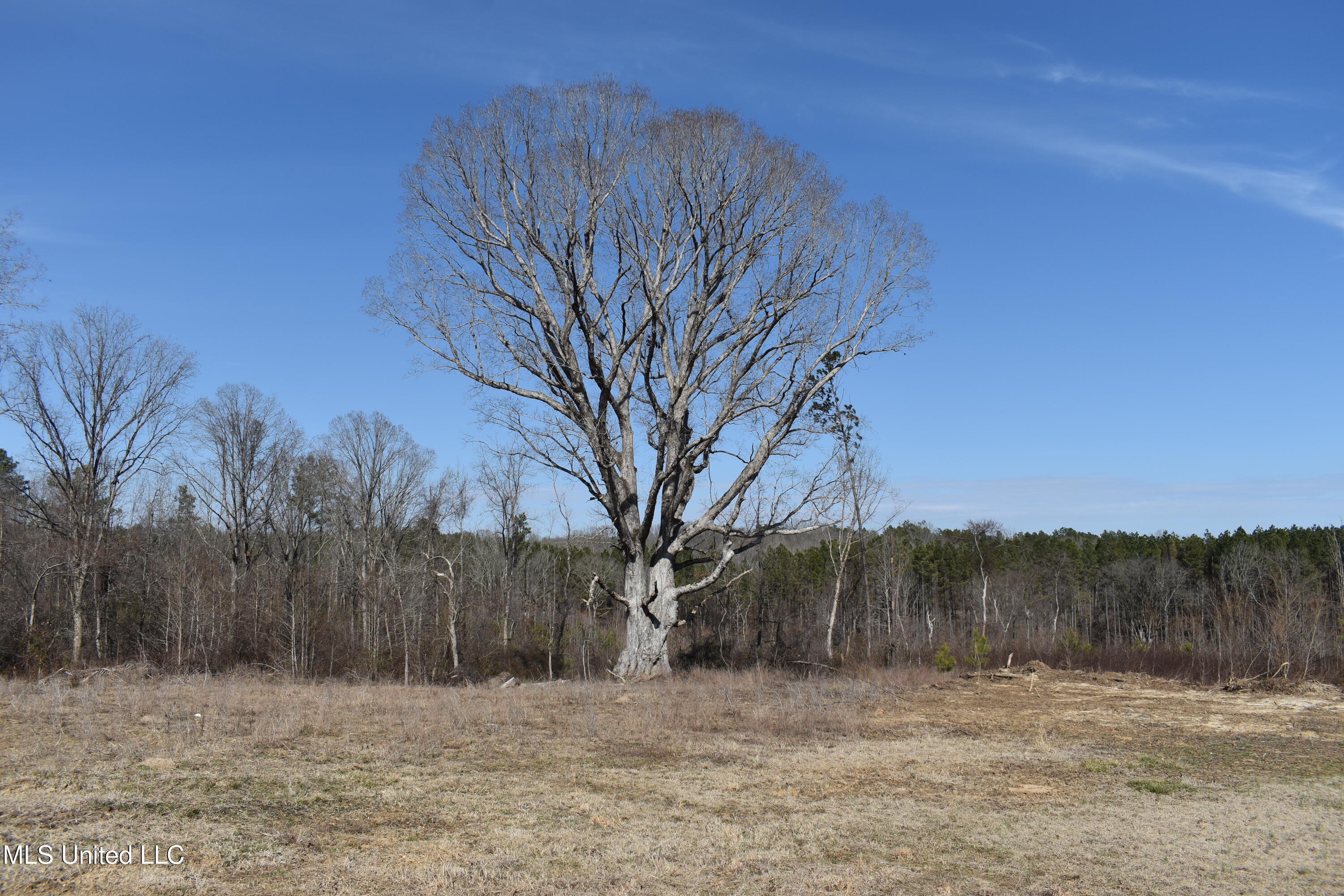 160 Simon Chapel Road Como, MS 38619 - Photo 7 of 94 DSC_0164