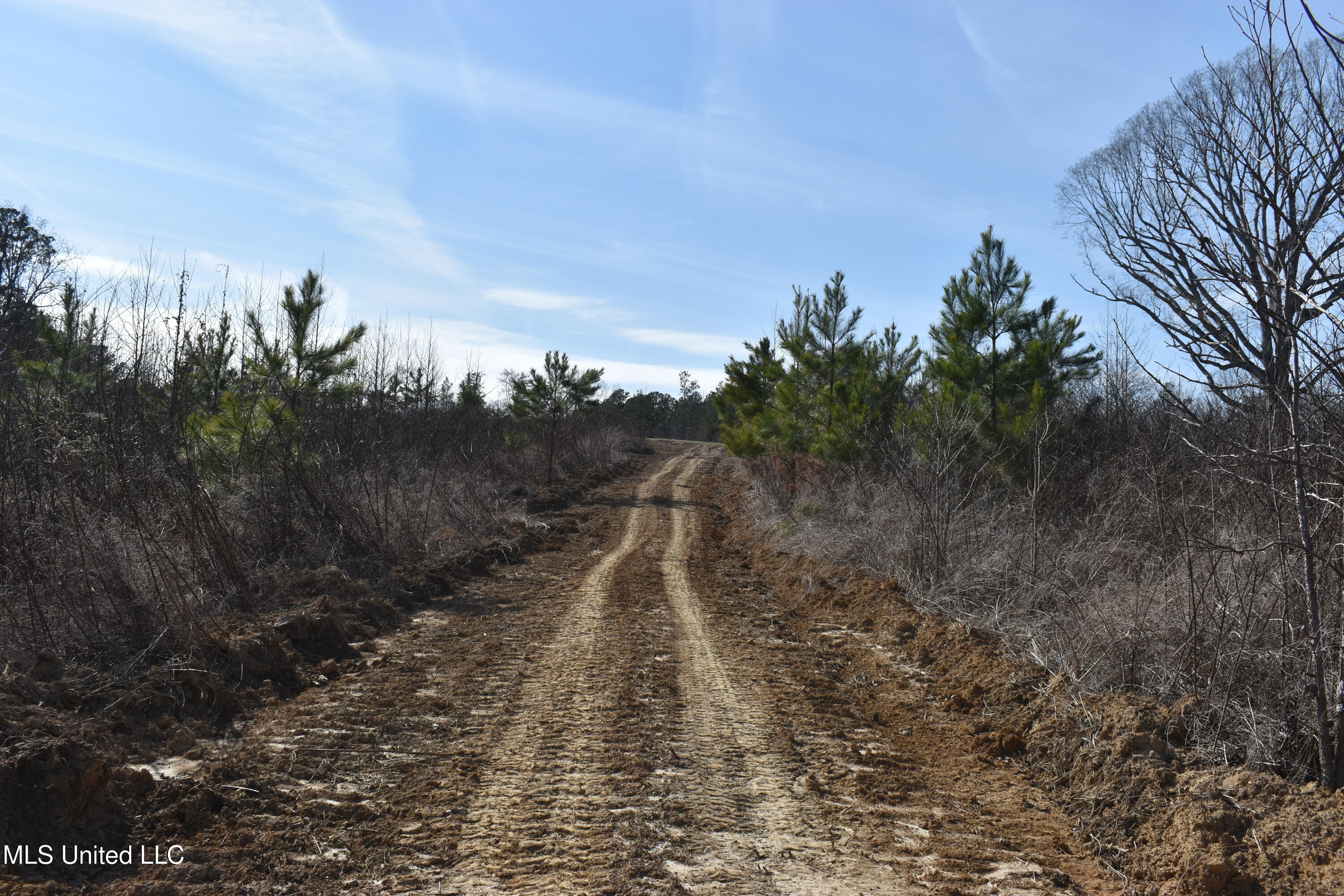 160 Simon Chapel Road Como, MS 38619 - Photo 71 of 94 DSC_0162