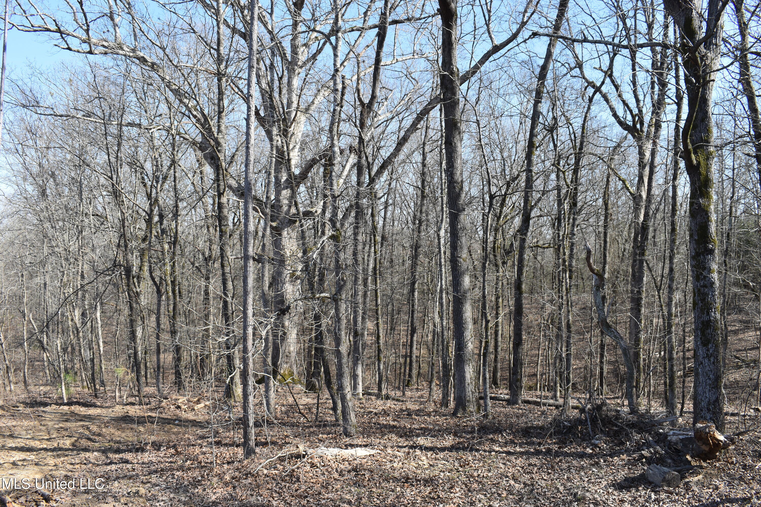 160 Simon Chapel Road Como, MS 38619 - Photo 73 of 94 DSC_0153