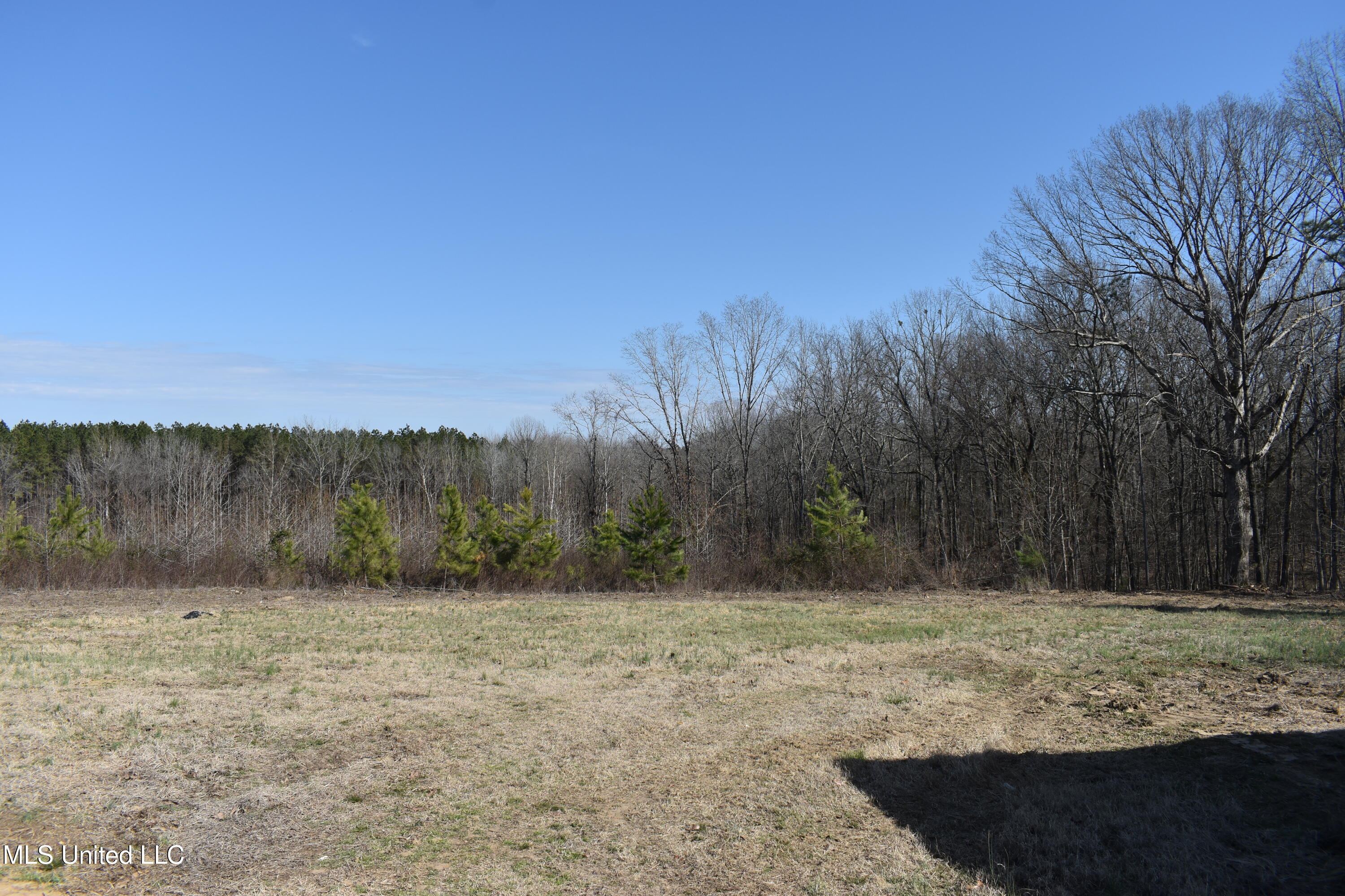 160 Simon Chapel Road Como, MS 38619 - Photo 74 of 94 DSC_0147