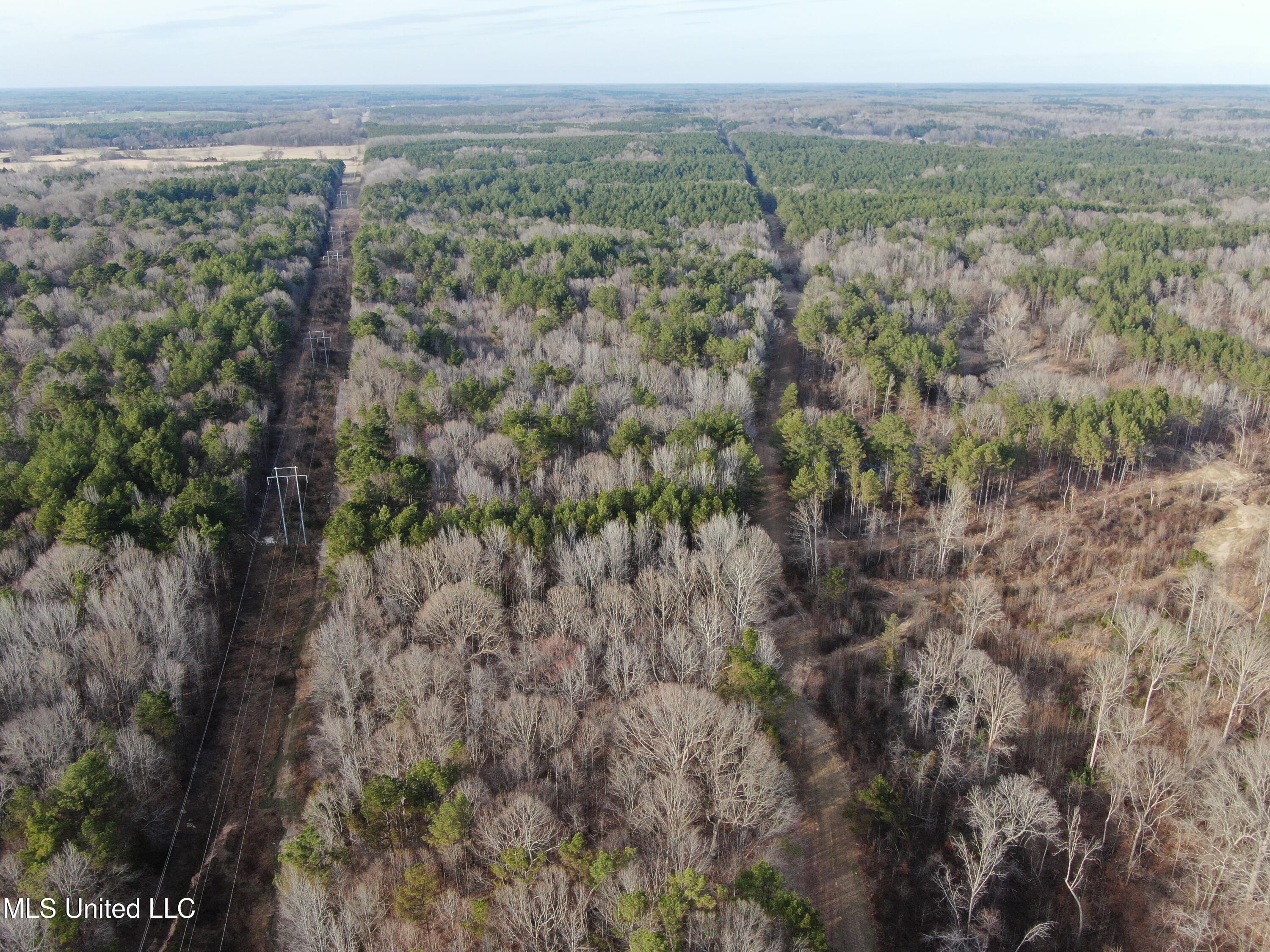 160 Simon Chapel Road Como, MS 38619 - Photo 75 of 94 DJI_0455
