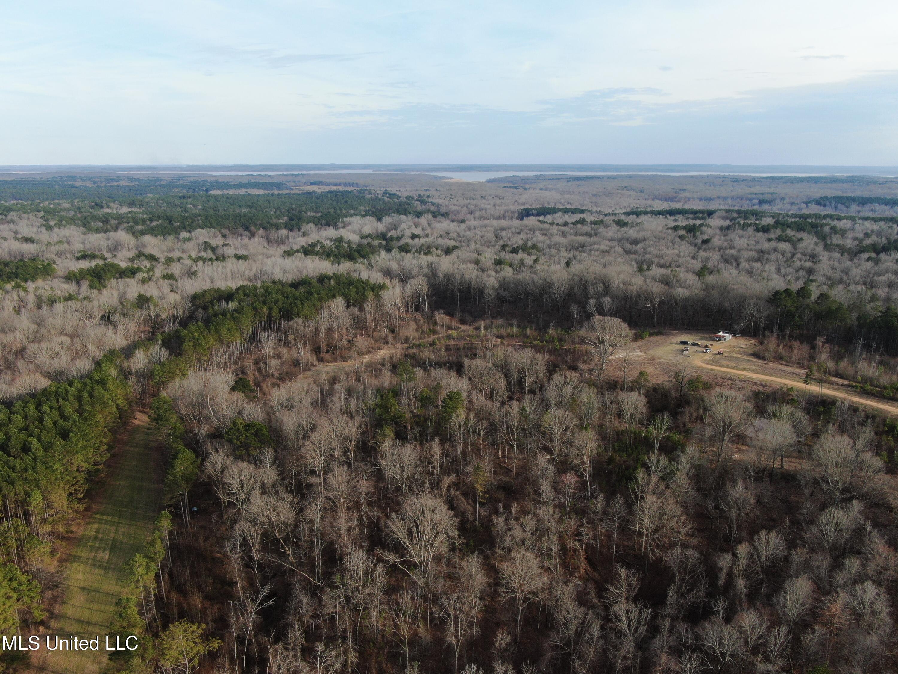 160 Simon Chapel Road Como, MS 38619 - Photo 76 of 94 DJI_0452