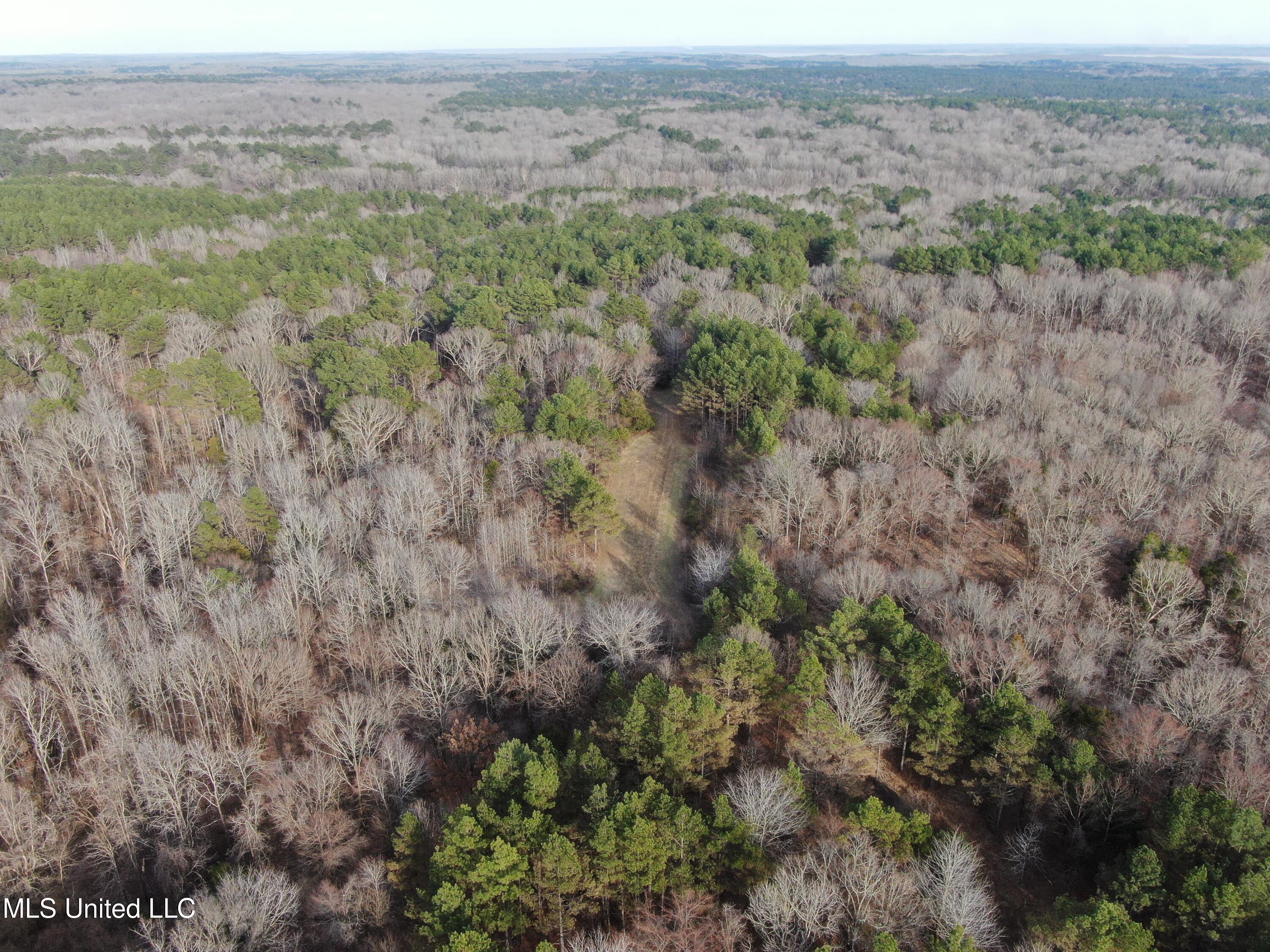 160 Simon Chapel Road Como, MS 38619 - Photo 77 of 94 DJI_0449