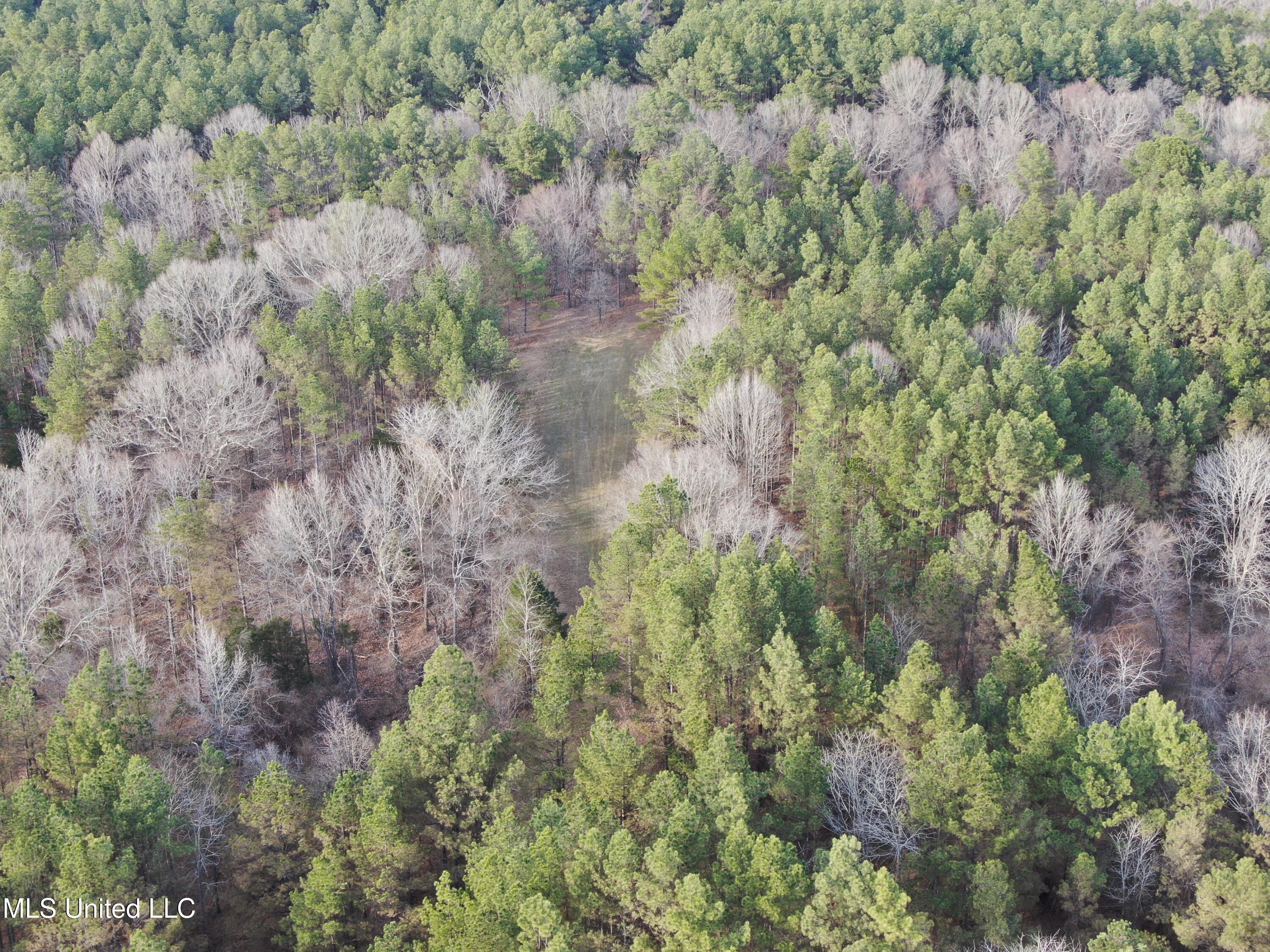 160 Simon Chapel Road Como, MS 38619 - Photo 78 of 94 DJI_0448