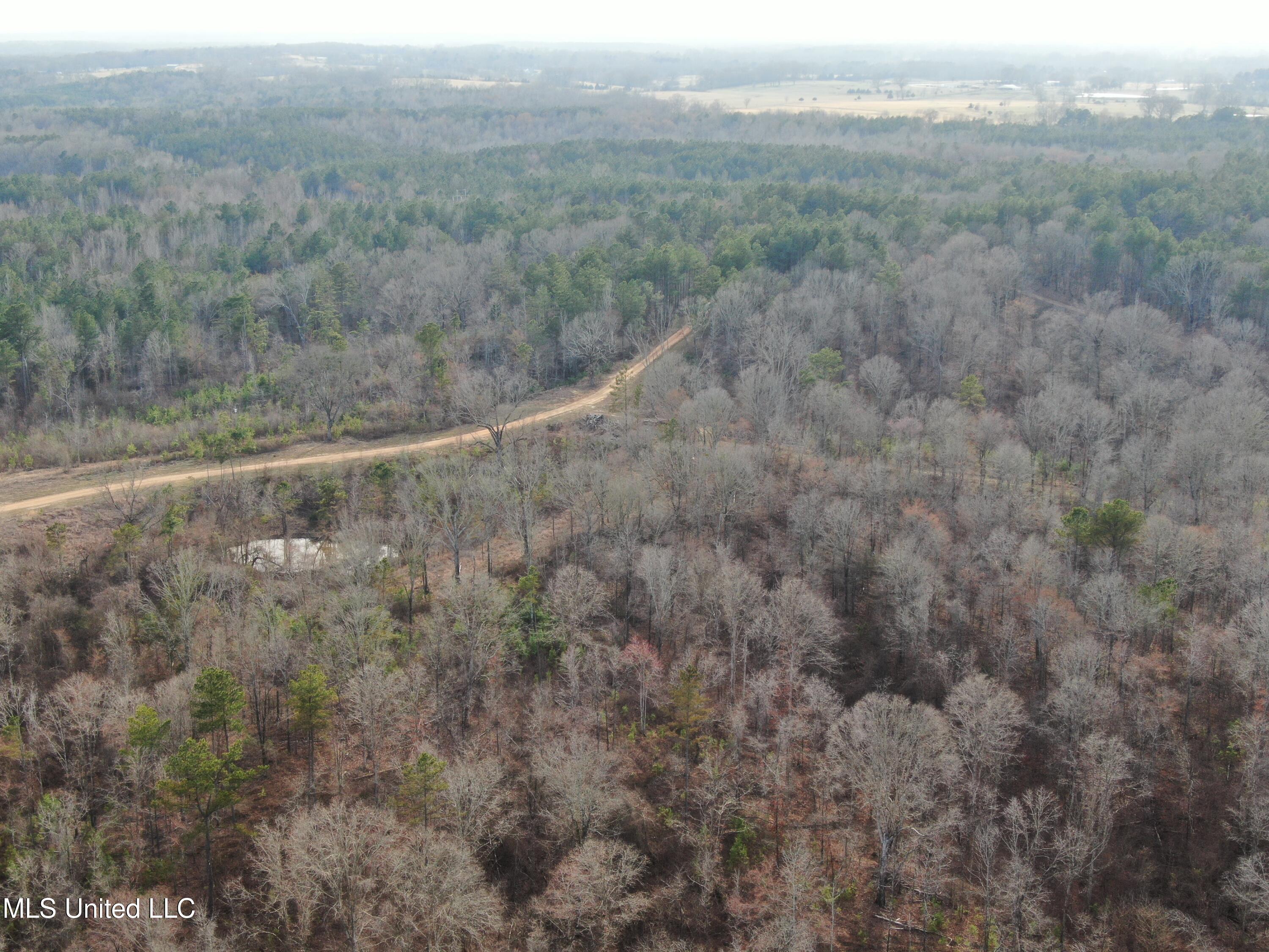 160 Simon Chapel Road Como, MS 38619 - Photo 79 of 94 DJI_0447