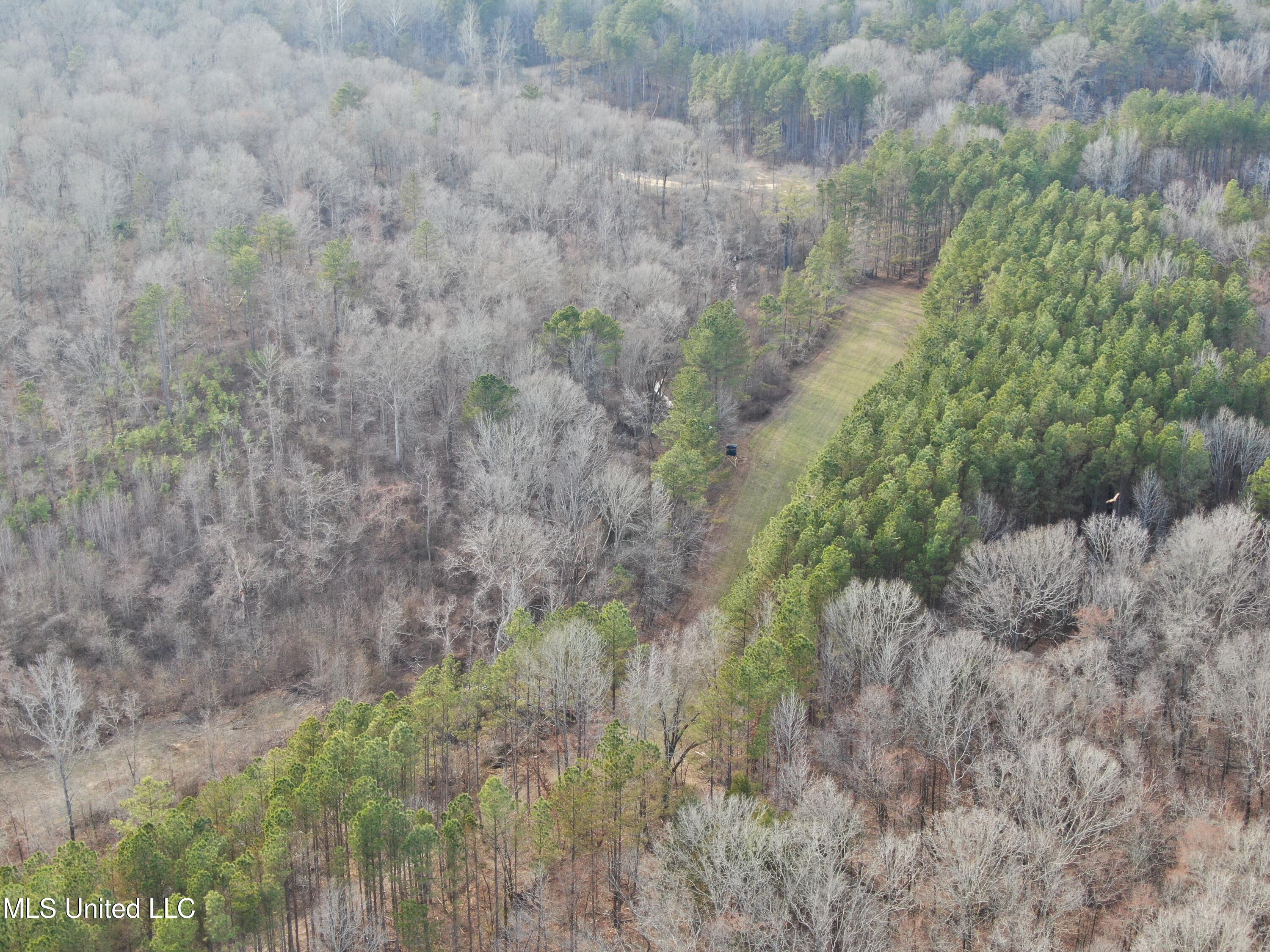 160 Simon Chapel Road Como, MS 38619 - Photo 80 of 94 DJI_0446