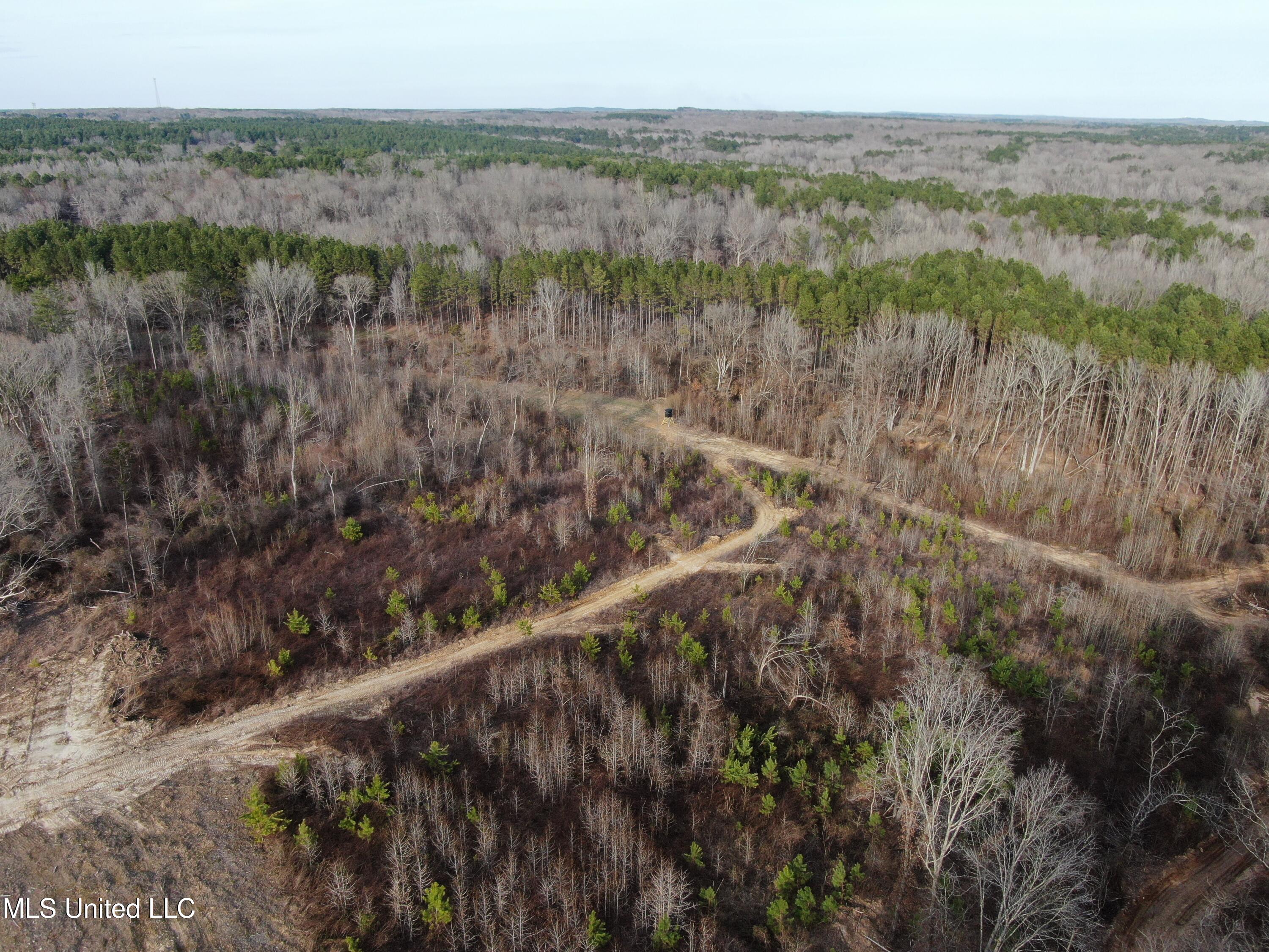 160 Simon Chapel Road Como, MS 38619 - Photo 82 of 94 DJI_0442