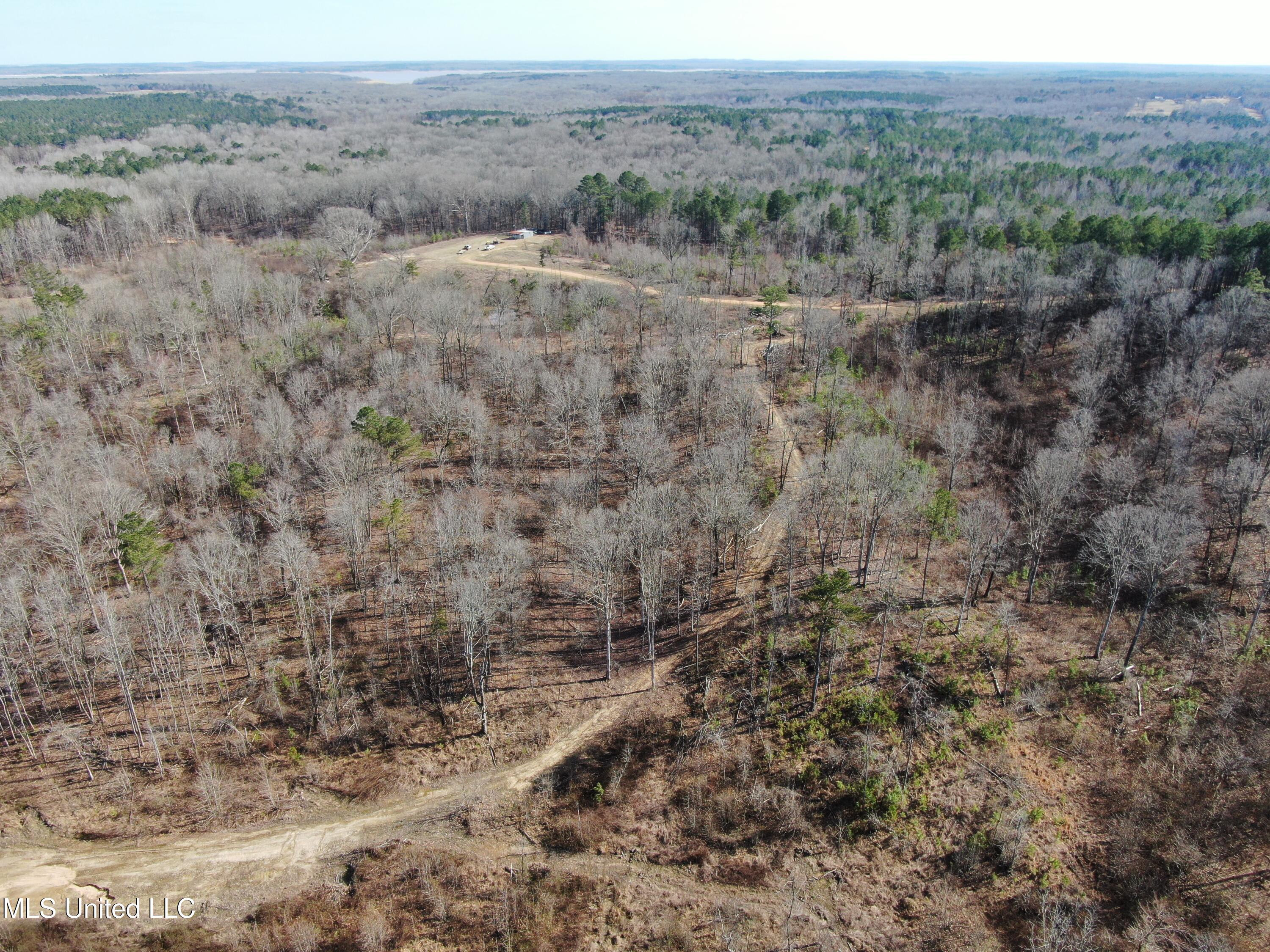 160 Simon Chapel Road Como, MS 38619 - Photo 83 of 94 DJI_0435