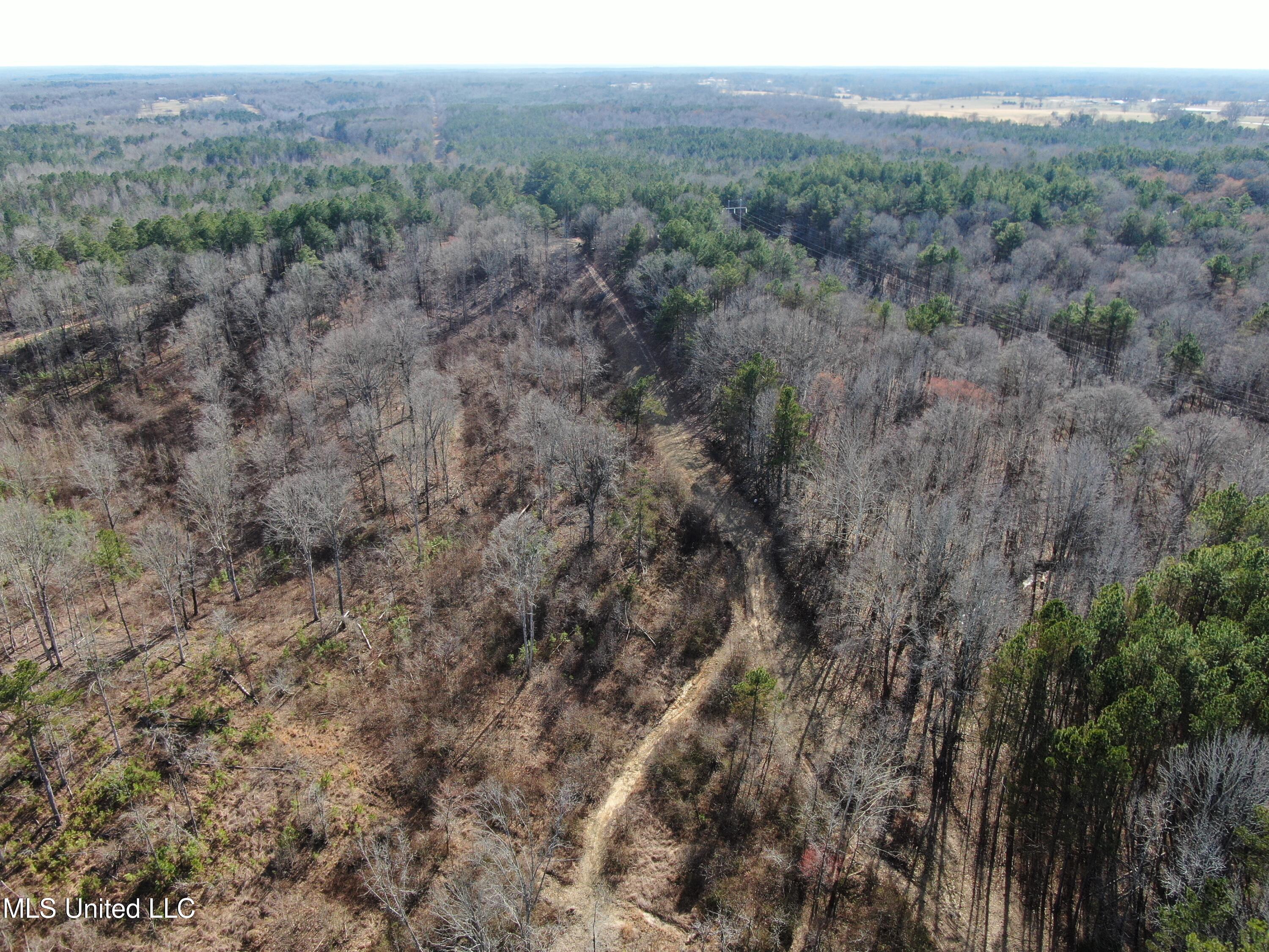 160 Simon Chapel Road Como, MS 38619 - Photo 84 of 94 DJI_0434
