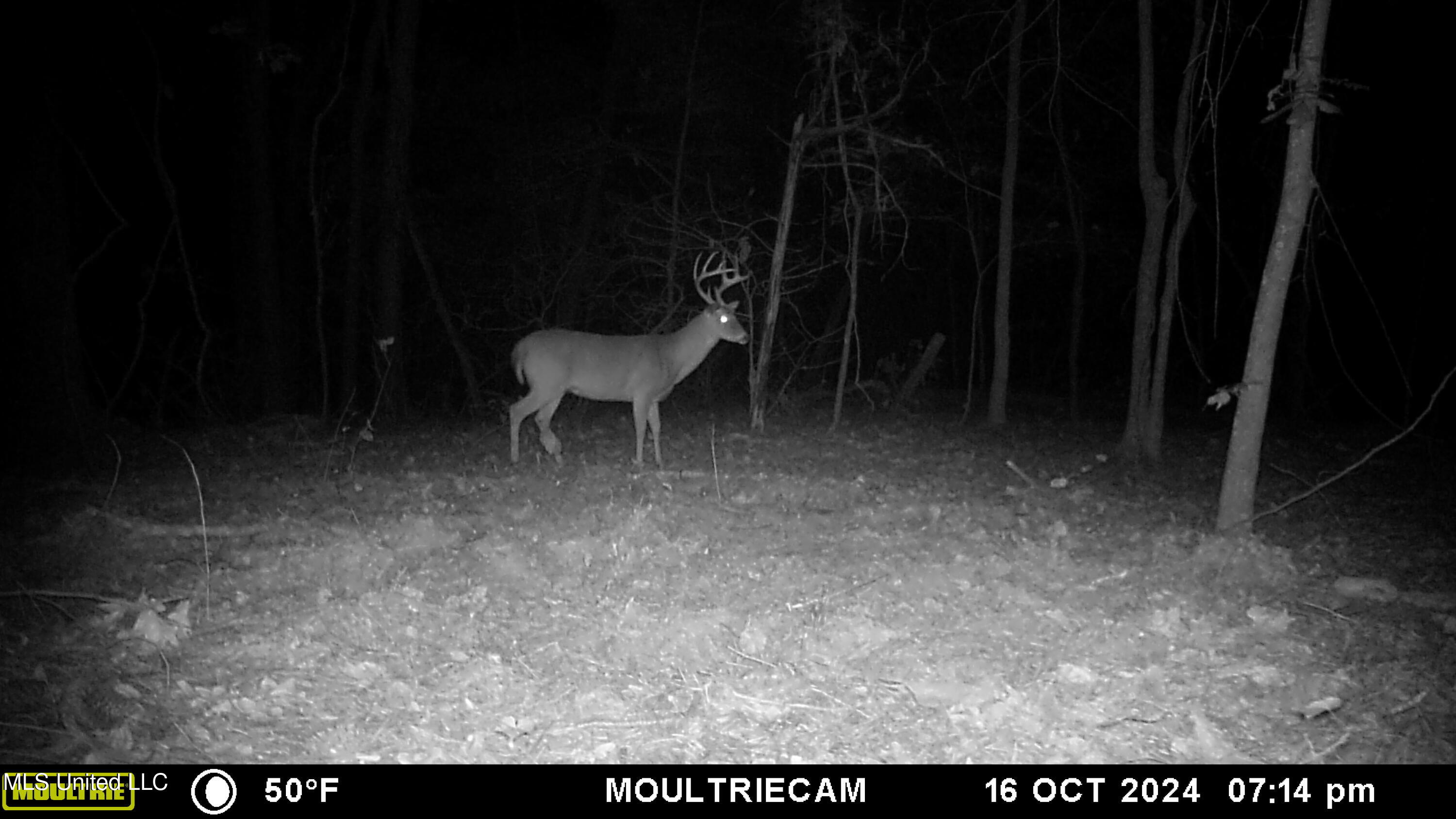 160 Simon Chapel Road Como, MS 38619 - Photo 86 of 94 MFDC7193