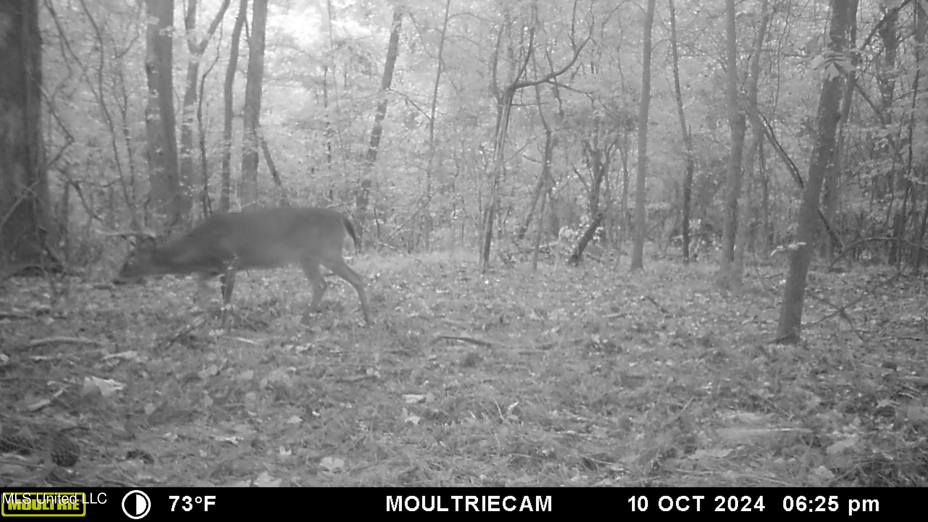 160 Simon Chapel Road Como, MS 38619 - Photo 89 of 94 MFDC7151