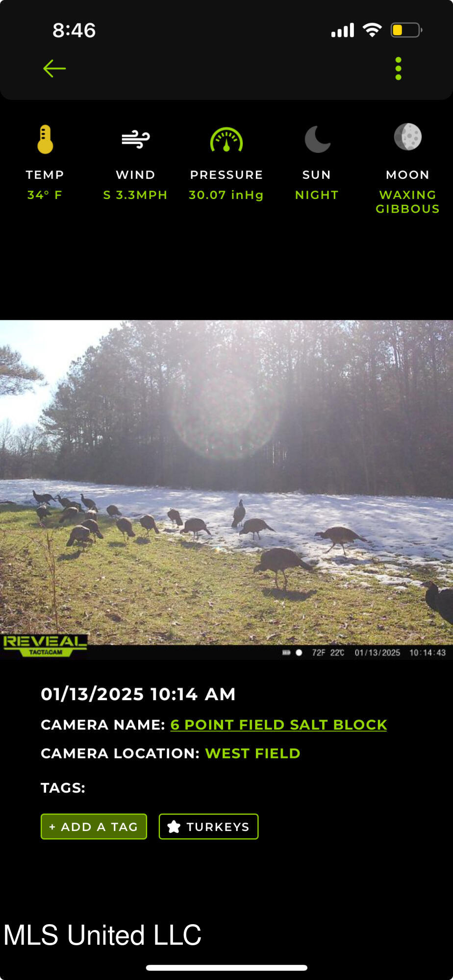160 Simon Chapel Road Como, MS 38619 - Photo 93 of 94 Turkey pic 2
