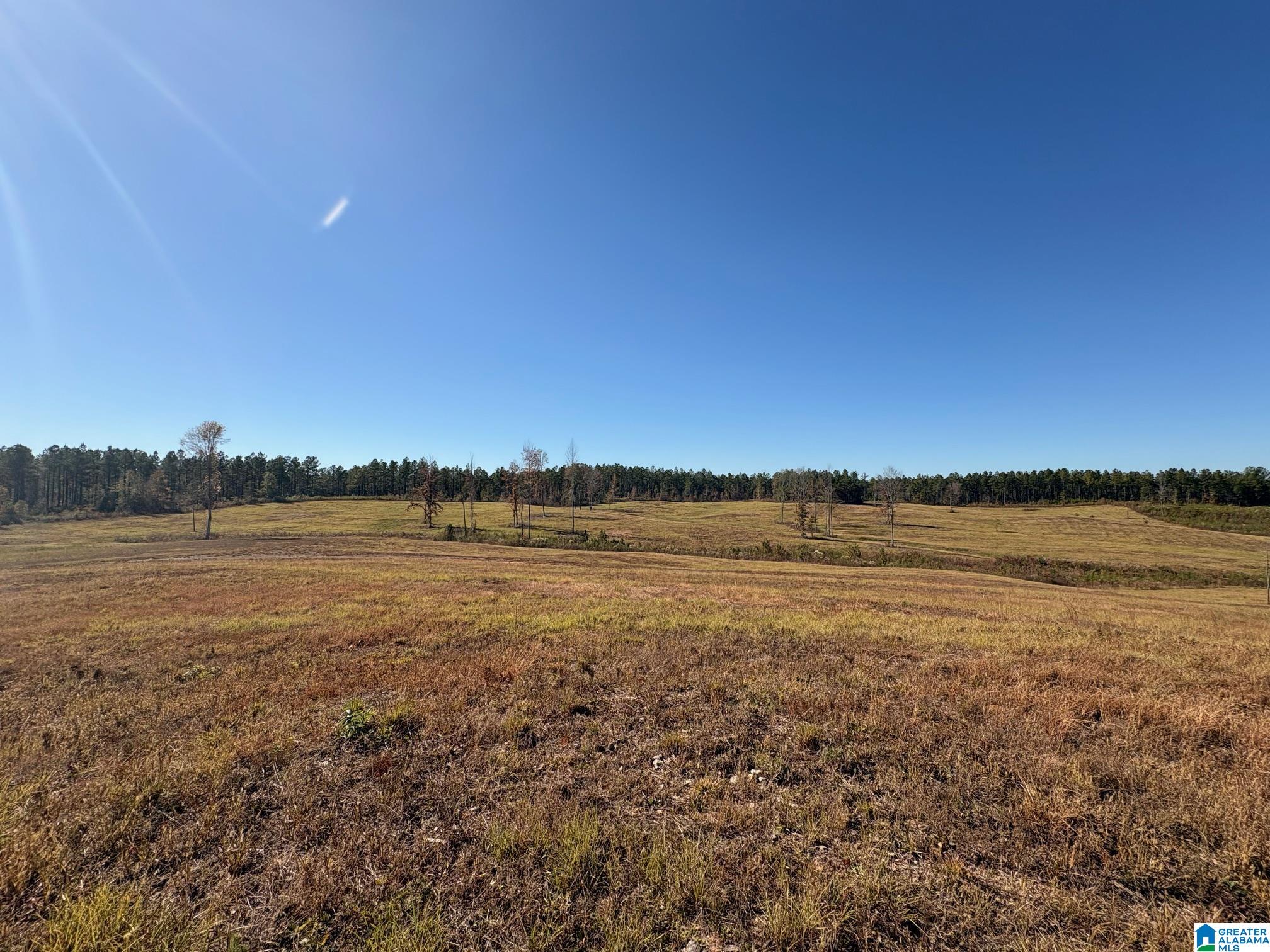 3679 Chelsea Road, Unit 2 Columbiana, AL 35051 - Photo 6 of 13
