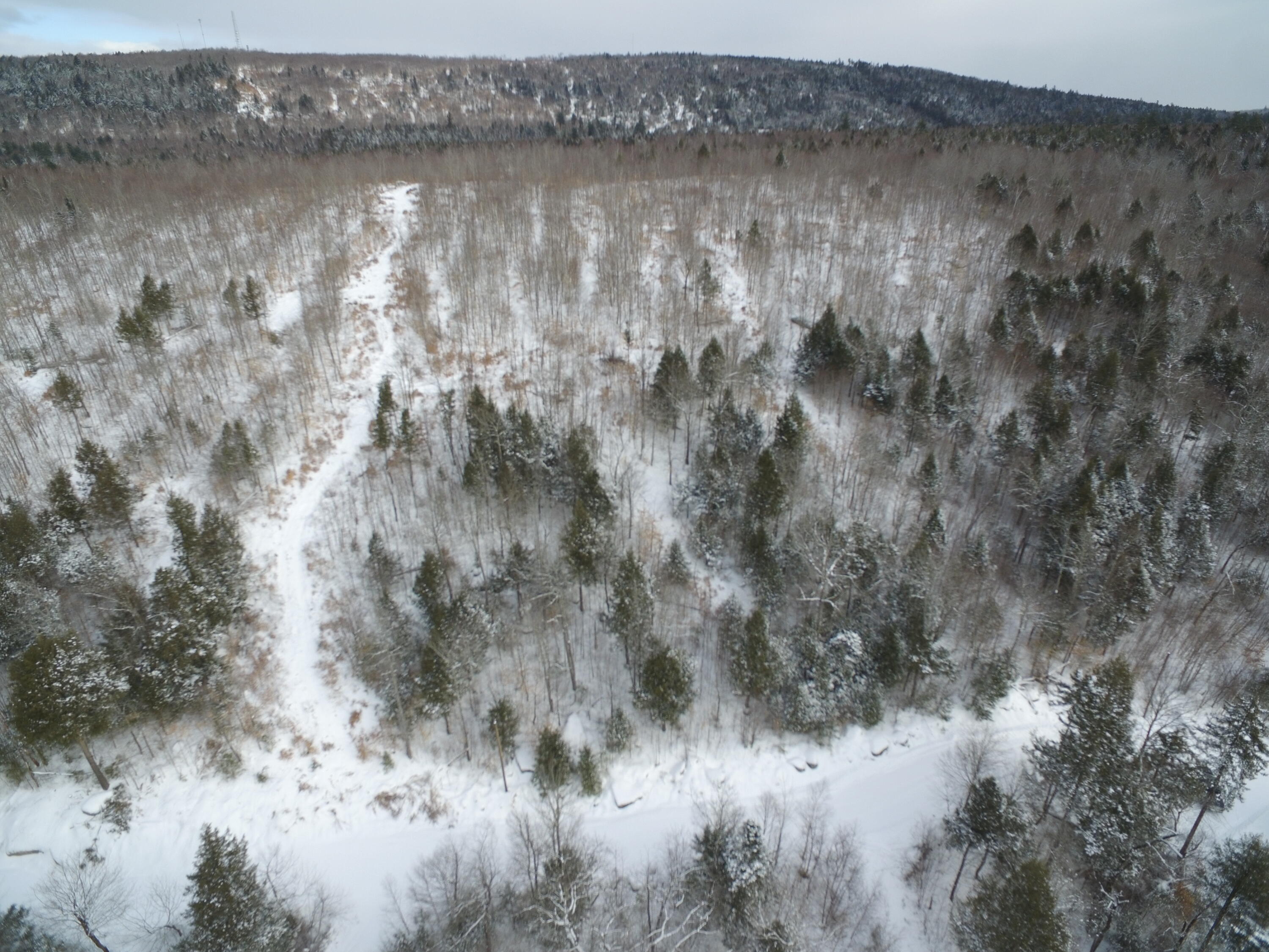37.41 Acres Houston Road Lincoln, ME 04457 - Photo 26 of 29 DJI_0137
