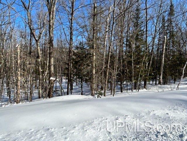 Tbd Lot#37 Tbd Road Bessemer, MI 49911 - Photo 5 of 6