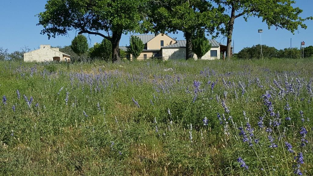 2320 Fiedler Road Harper, TX 78631 - Photo 34 of 78