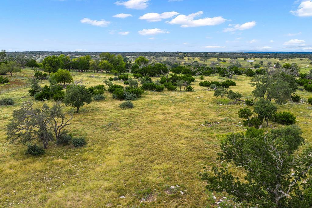 2320 Fiedler Road Harper, TX 78631 - Photo 49 of 78