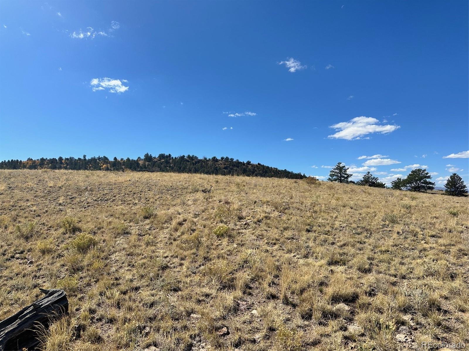 0 Antelope Road Hartsel, CO 80449 - Photo 12 of 28
