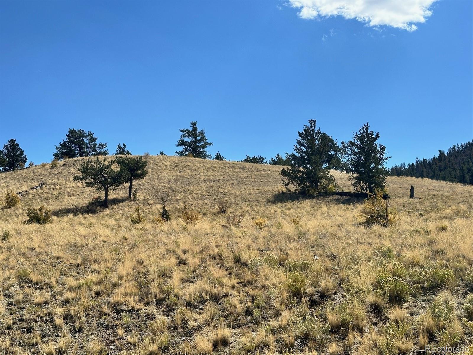 0 Antelope Road Hartsel, CO 80449 - Photo 15 of 28 a view of a dry yard