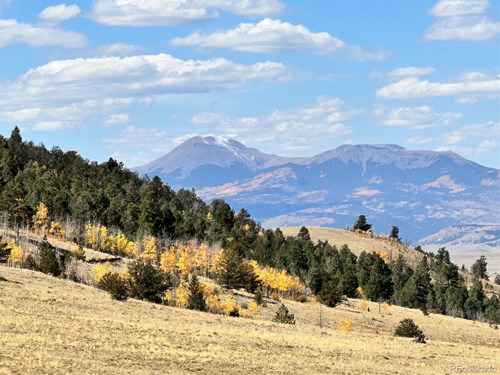 0 Antelope Road Hartsel, CO 80449 - Photo 2 of 28 a view of a dry yard