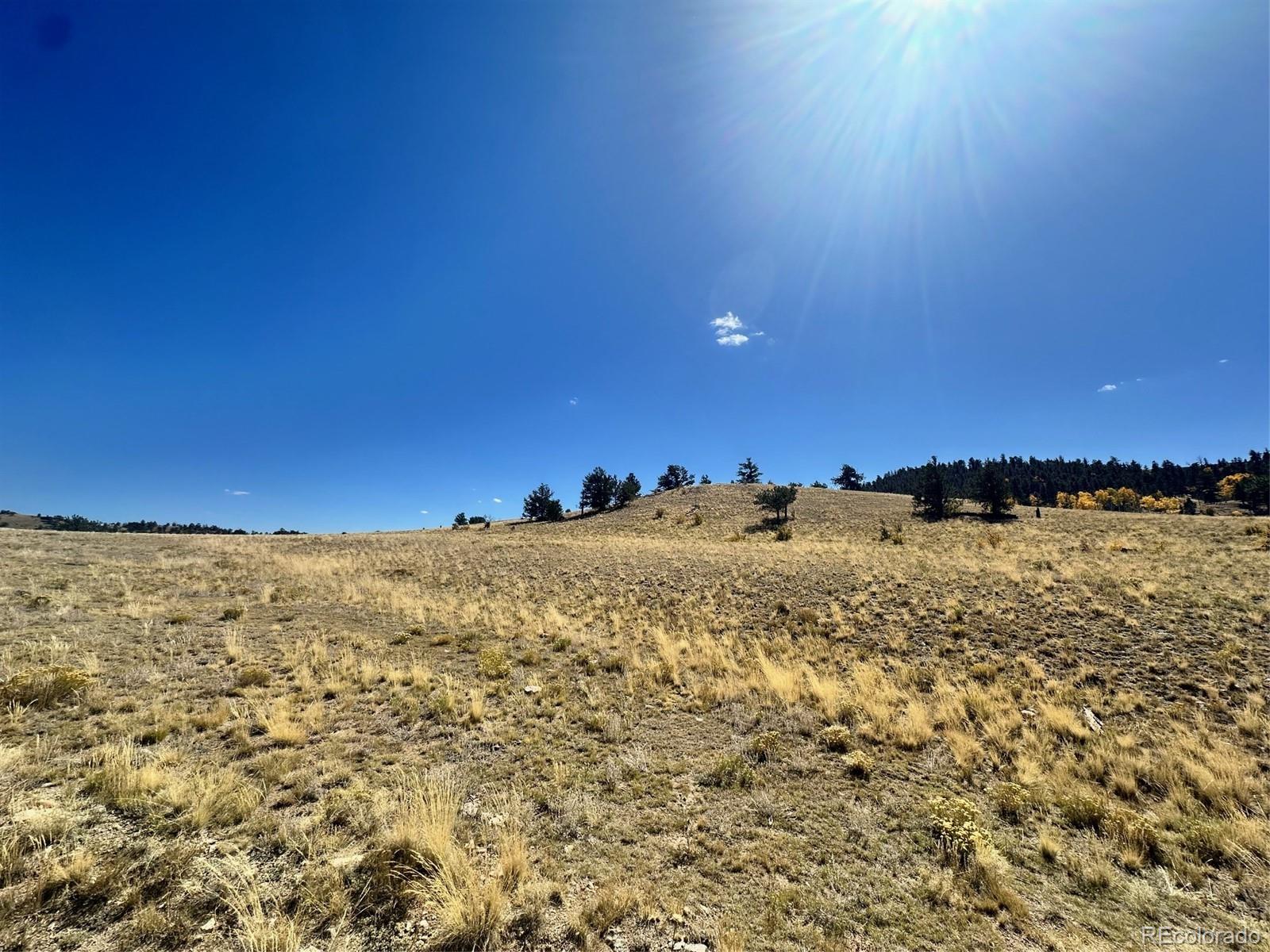 0 Antelope Road Hartsel, CO 80449 - Photo 24 of 28 a view of a large building with a yard