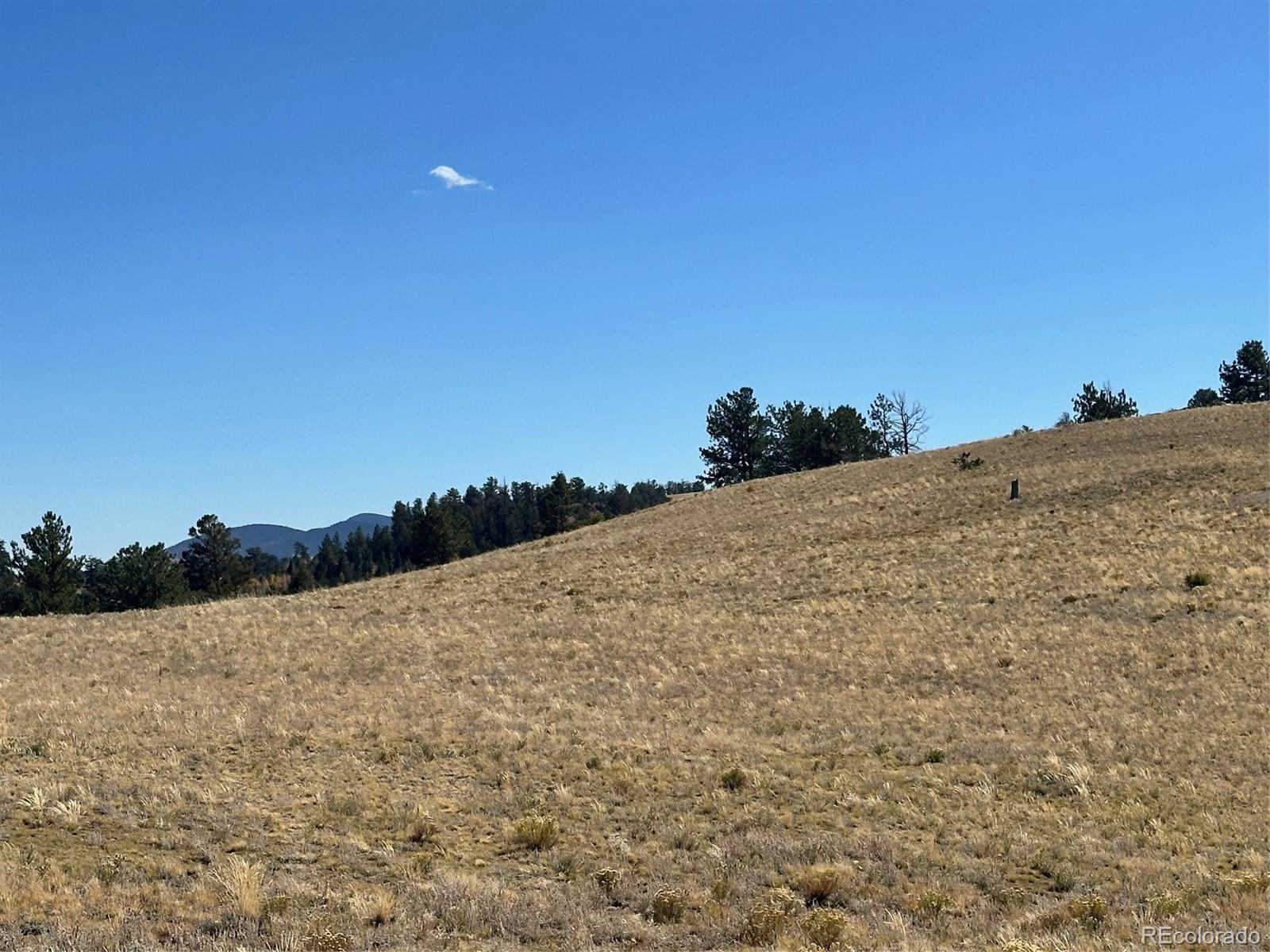 0 Antelope Road Hartsel, CO 80449 - Photo 25 of 28 a view of a dry yard with a mountain in the background