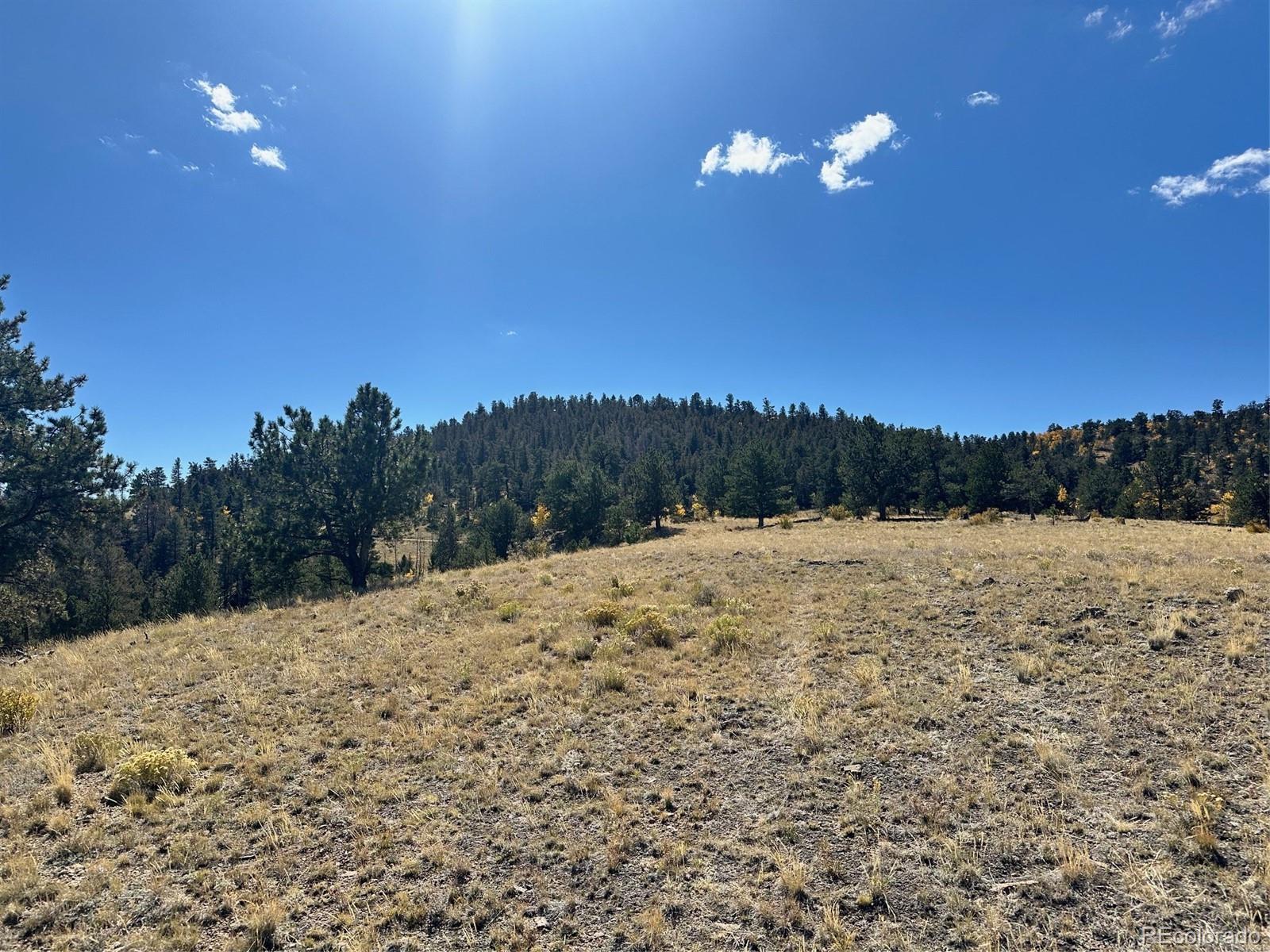 0 Antelope Road Hartsel, CO 80449 - Photo 5 of 28 a view of a yard