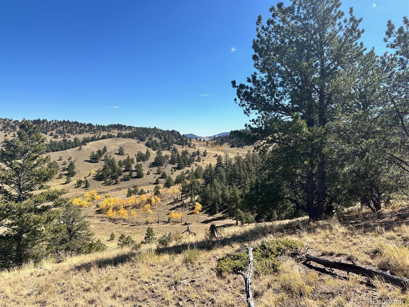 0 Antelope Road Hartsel, CO 80449 - Photo 6 of 28 a view of a yard with a tree
