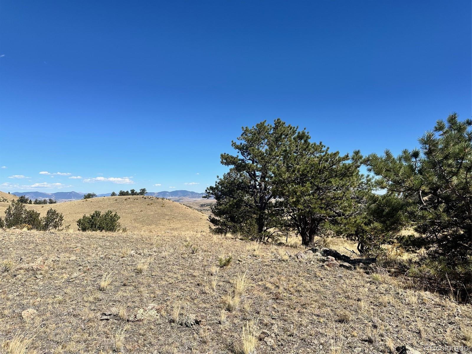 0 Antelope Road Hartsel, CO 80449 - Photo 9 of 28 a view of ocean view with large trees