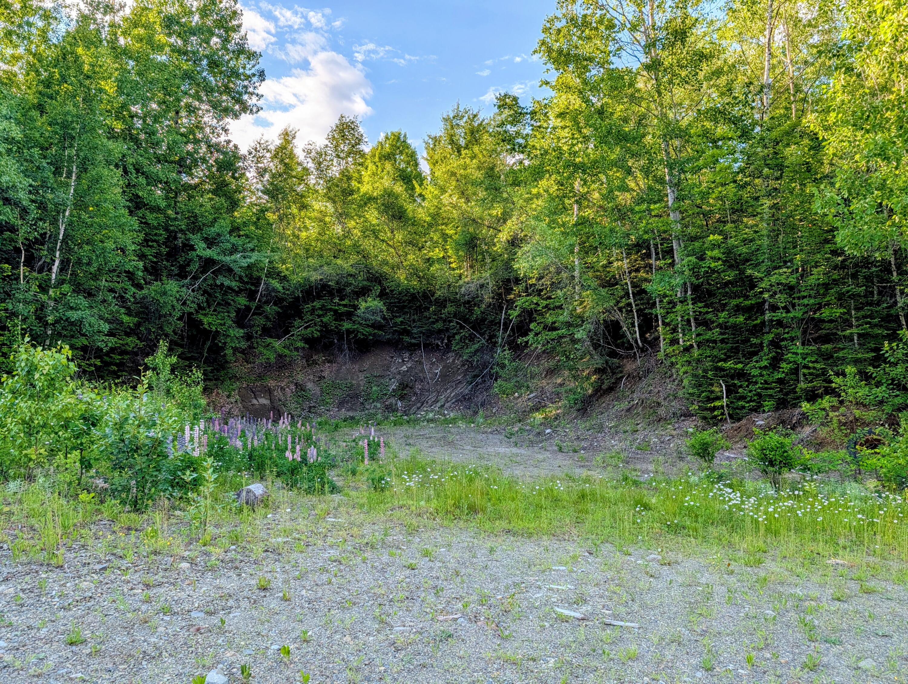 147 Calvin Gray Road Madrid Township, ME 04966 - Photo 54 of 68 147 Calvin Gray Road