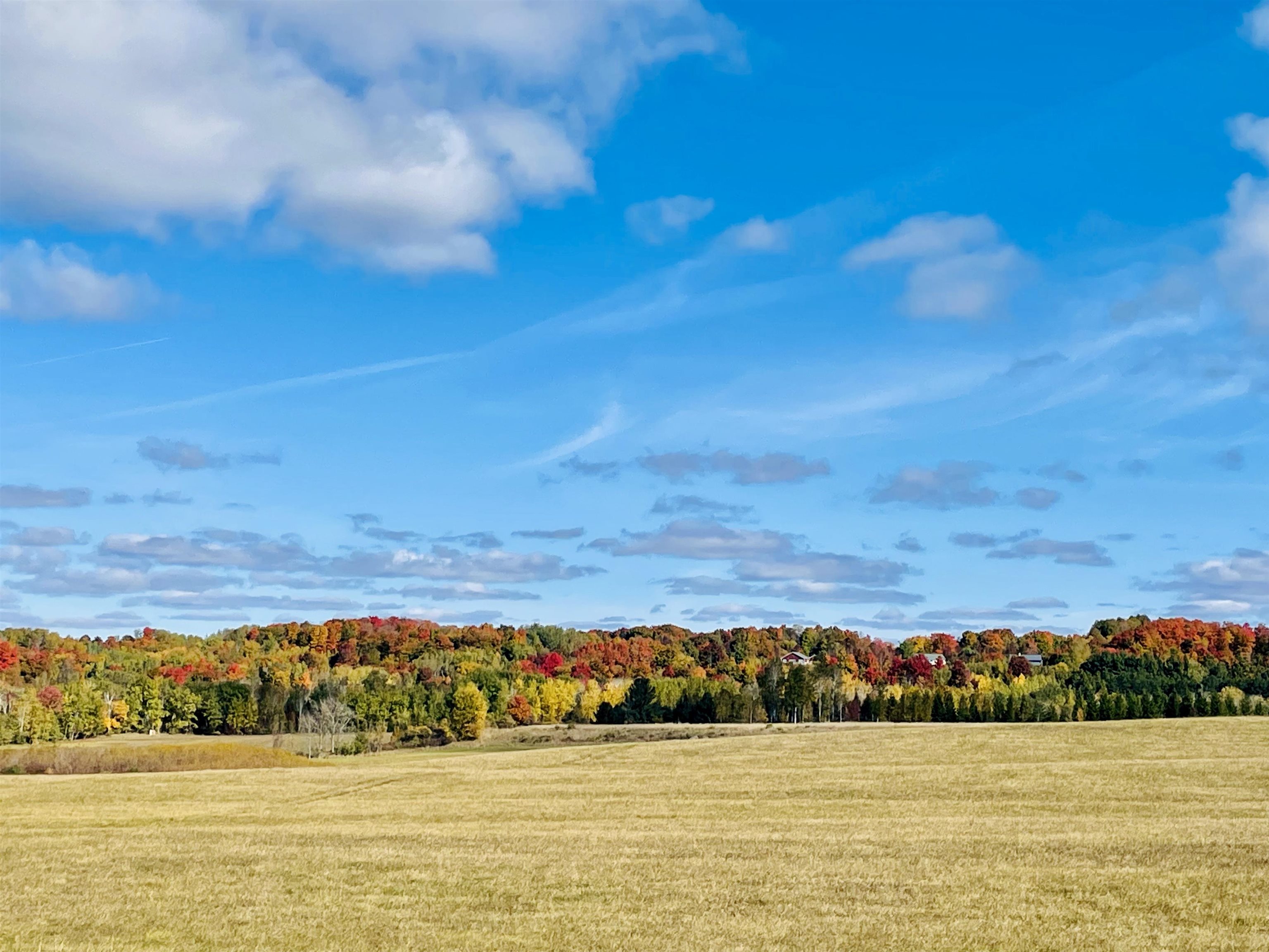 0 Zawora Road Kewadin, MI 49648 - Photo 1 of 12