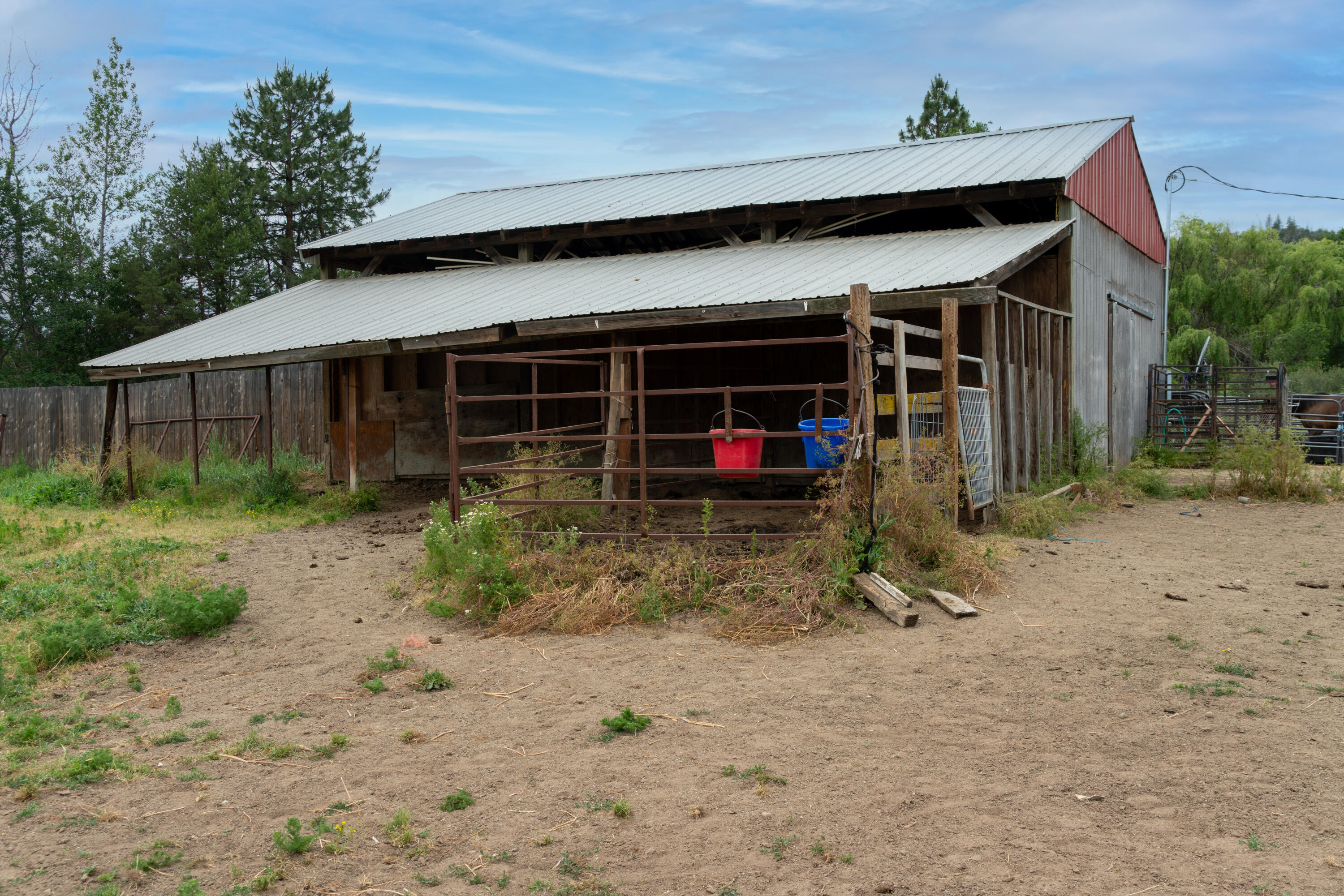 12107 Meadows Road White City, OR 97503 - Photo 29 of 36 a view of back yard of the house