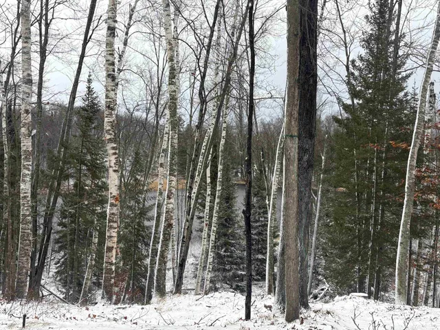$639,000 | 15744 Double B Lane, Mountain, WI 54149