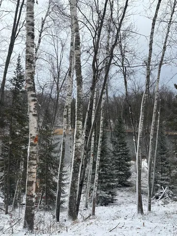 $639,000 | 15744 Double B Lane, Mountain, WI 54149