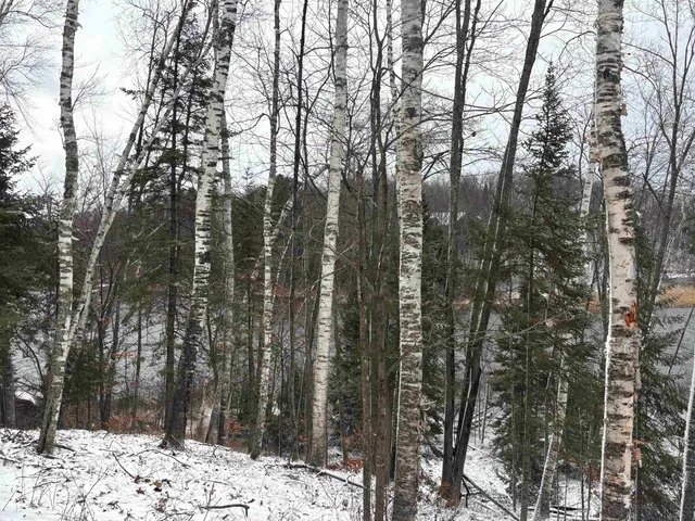 $639,000 | 15744 Double B Lane, Mountain, WI 54149