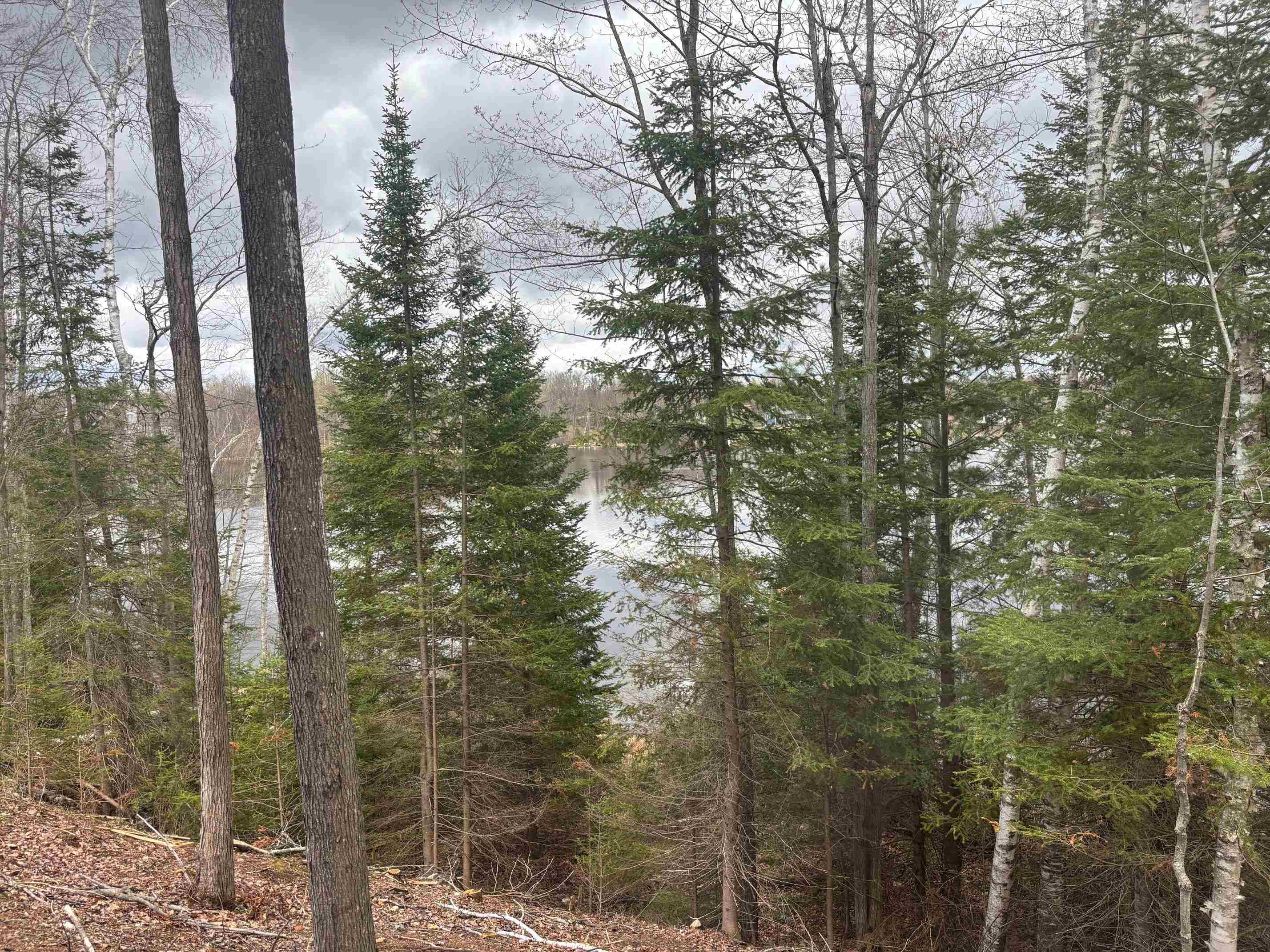15744 Double B Lane Mountain, WI 54149 - Photo 47 of 70